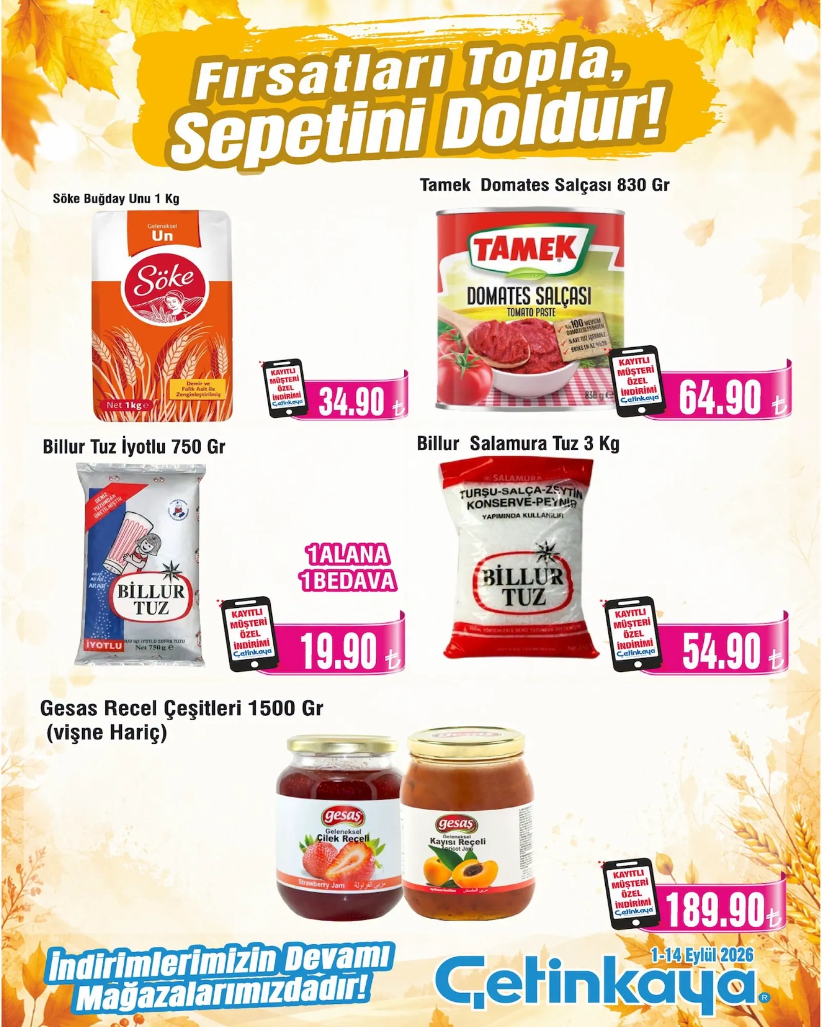 Çetinkaya broşürü sayfa 10