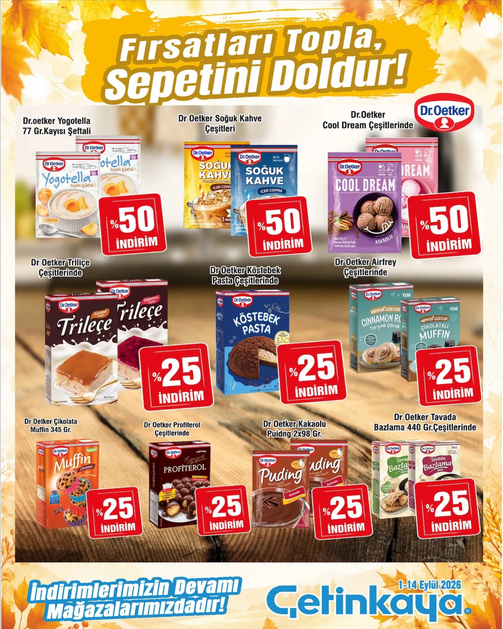 Çetinkaya broşürü sayfa 14