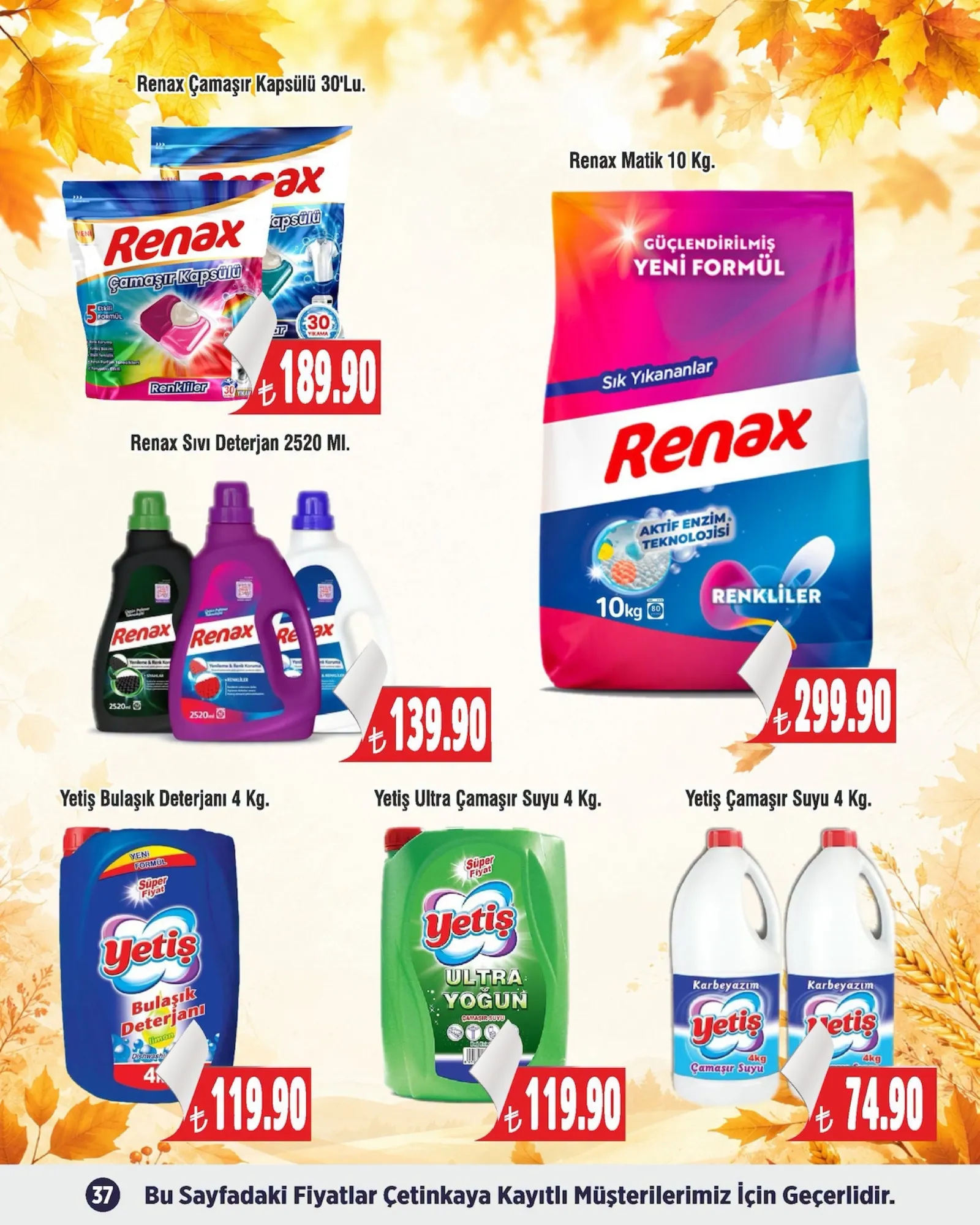 Çetinkaya broşürü sayfa 37