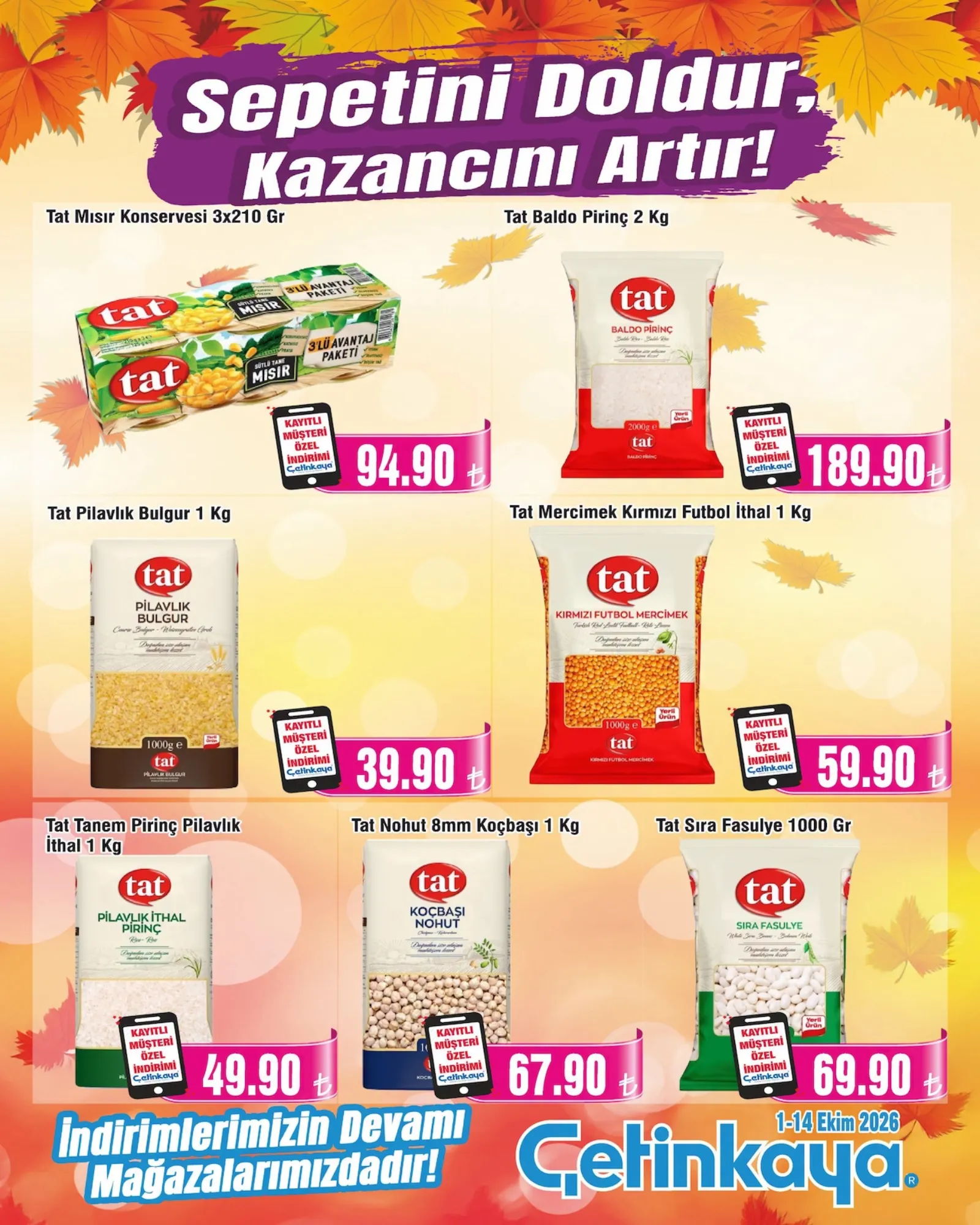 Çetinkaya broşürü sayfa 11