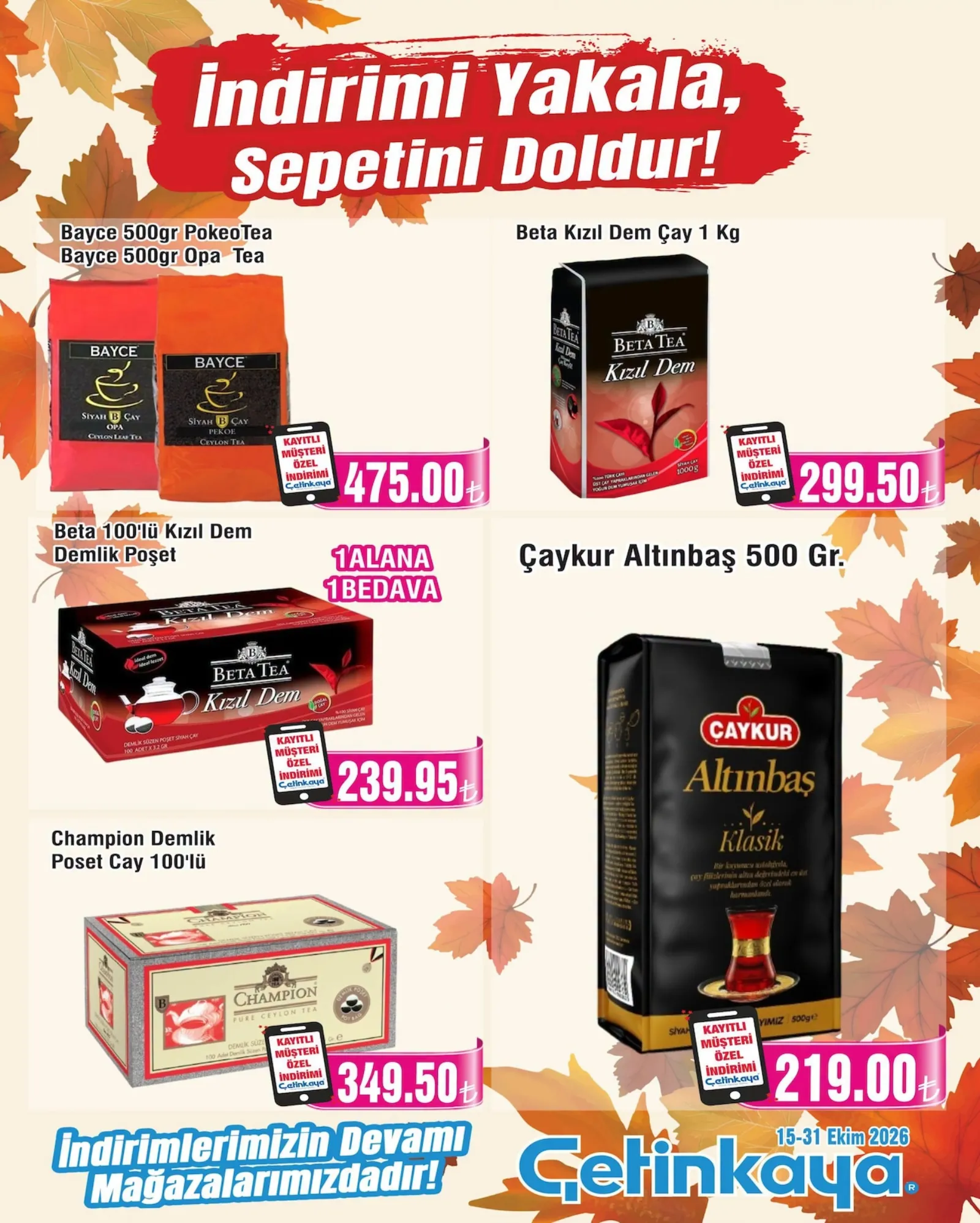 Çetinkaya broşürü sayfa 10