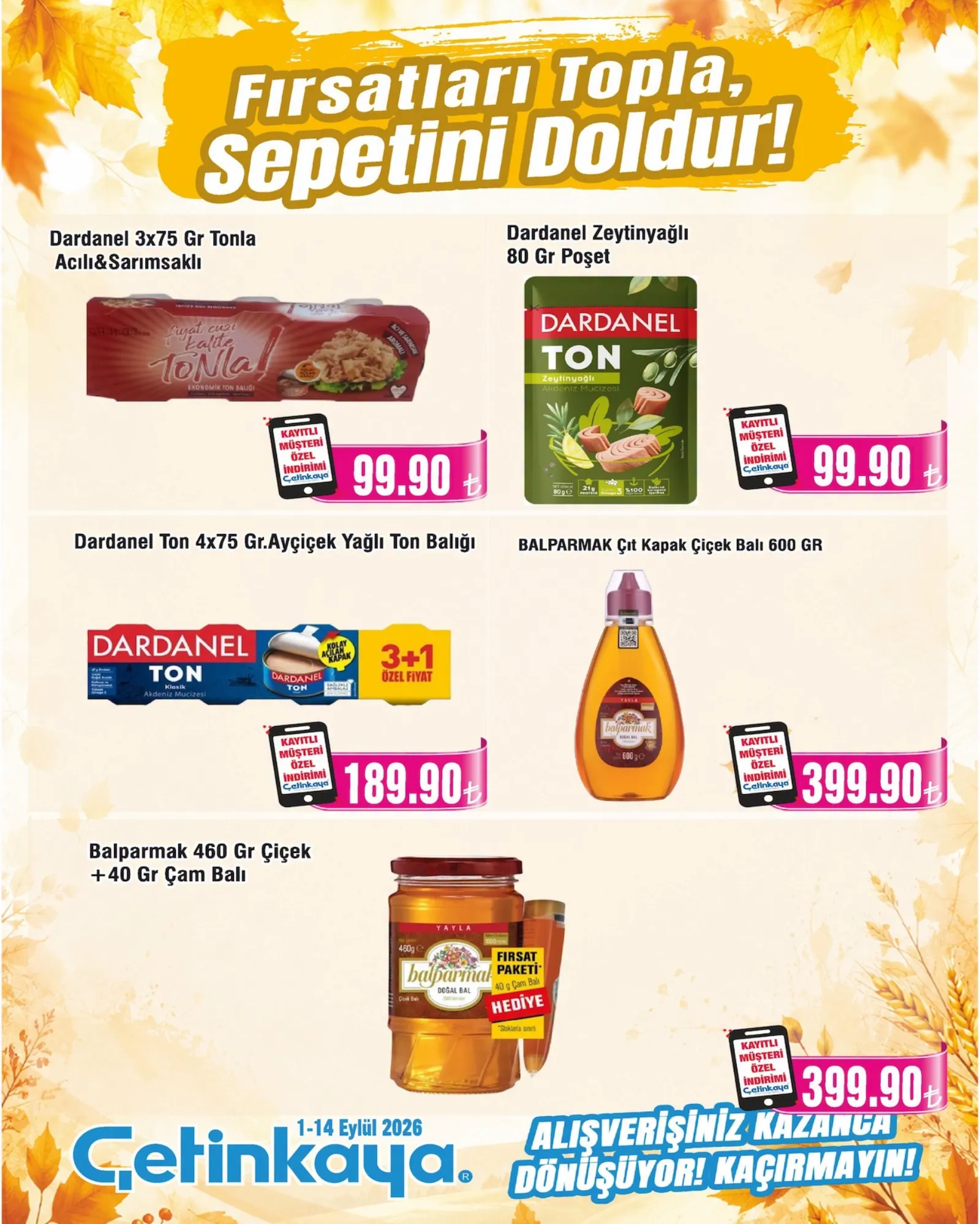 Çetinkaya broşürü sayfa 7