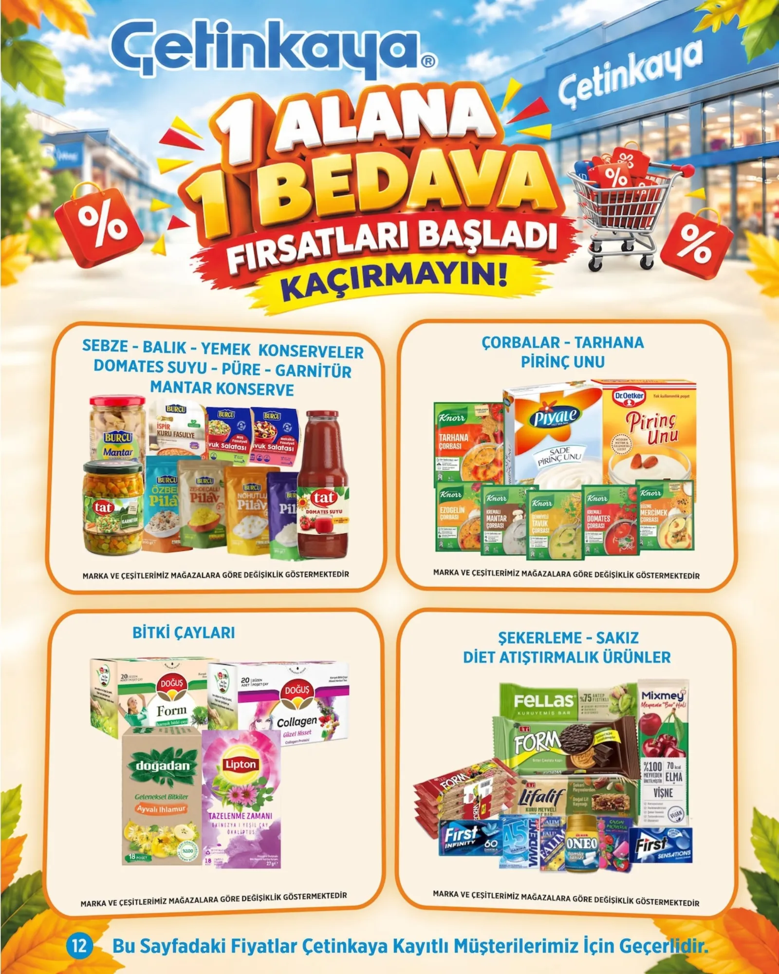 Çetinkaya broşürü sayfa 12