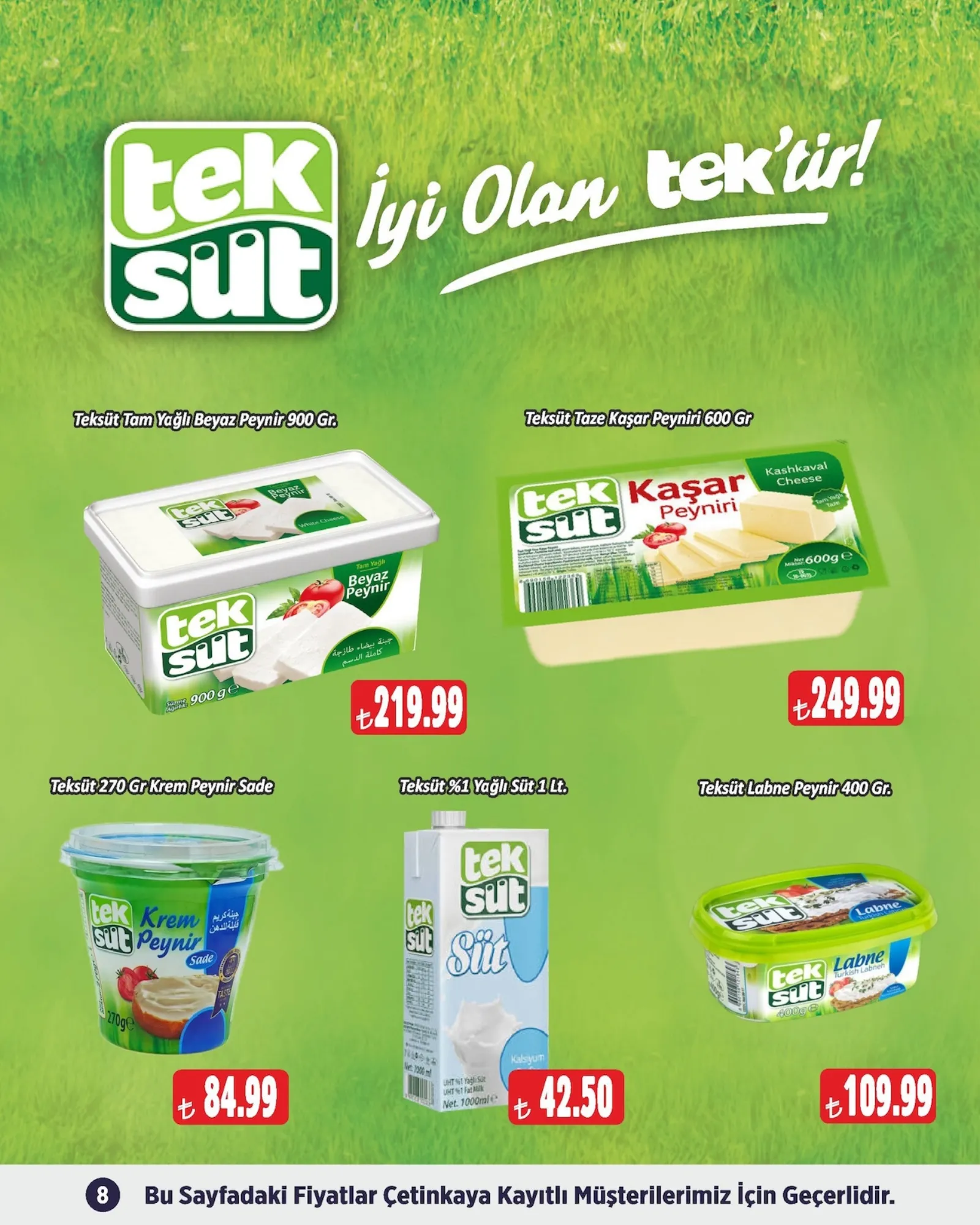 Çetinkaya broşürü sayfa 8
