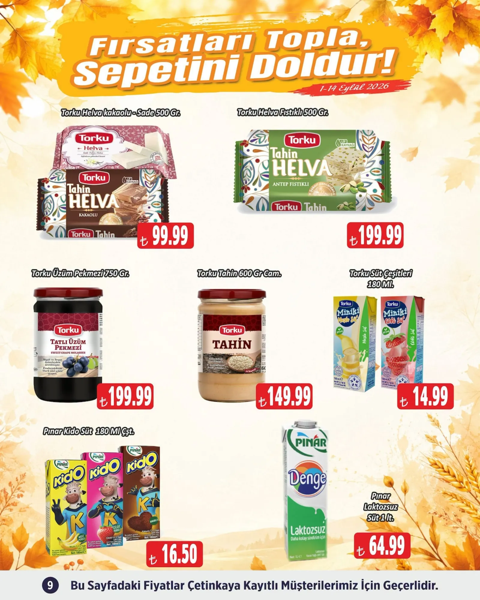 Çetinkaya broşürü sayfa 9