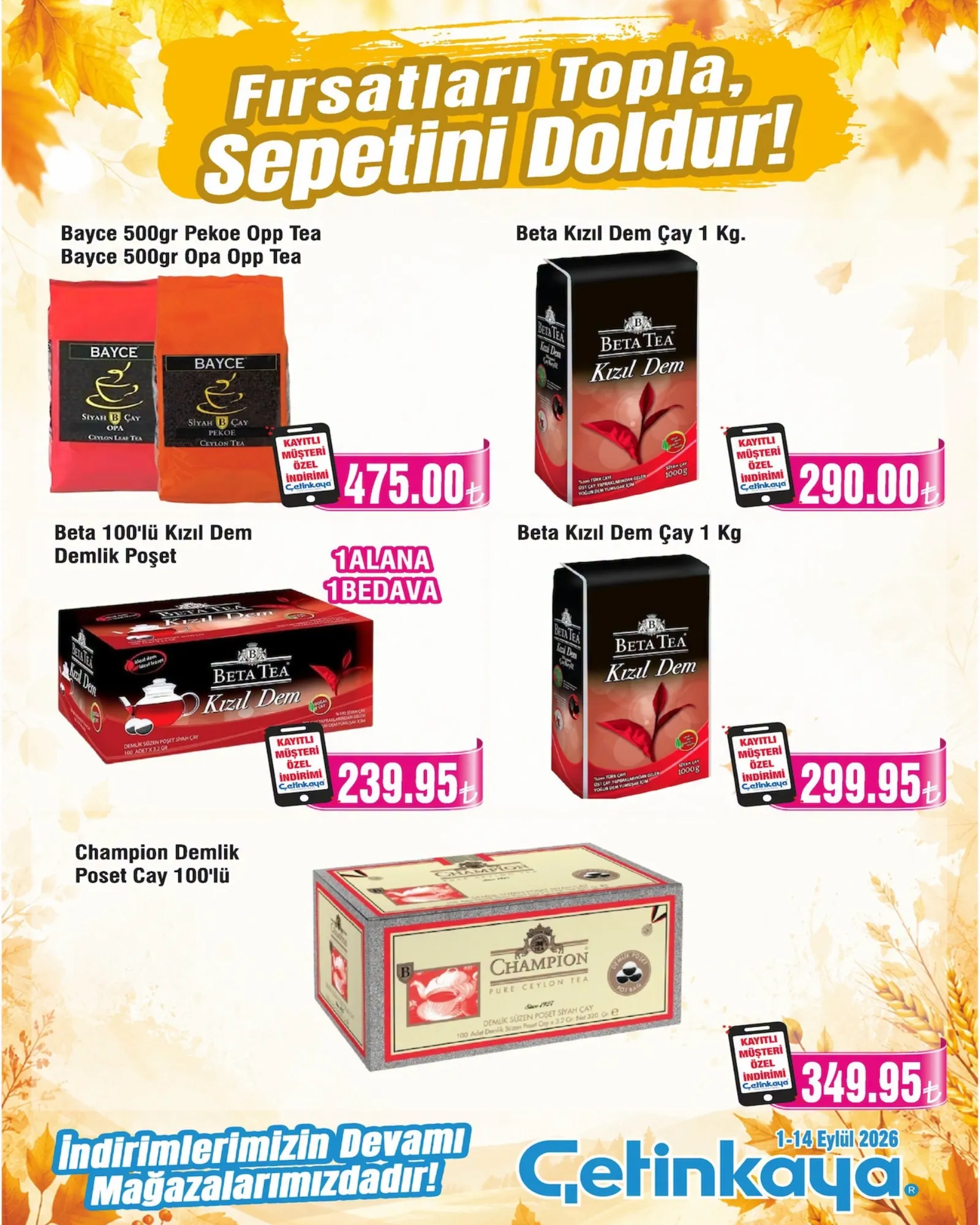 Çetinkaya broşürü sayfa 12