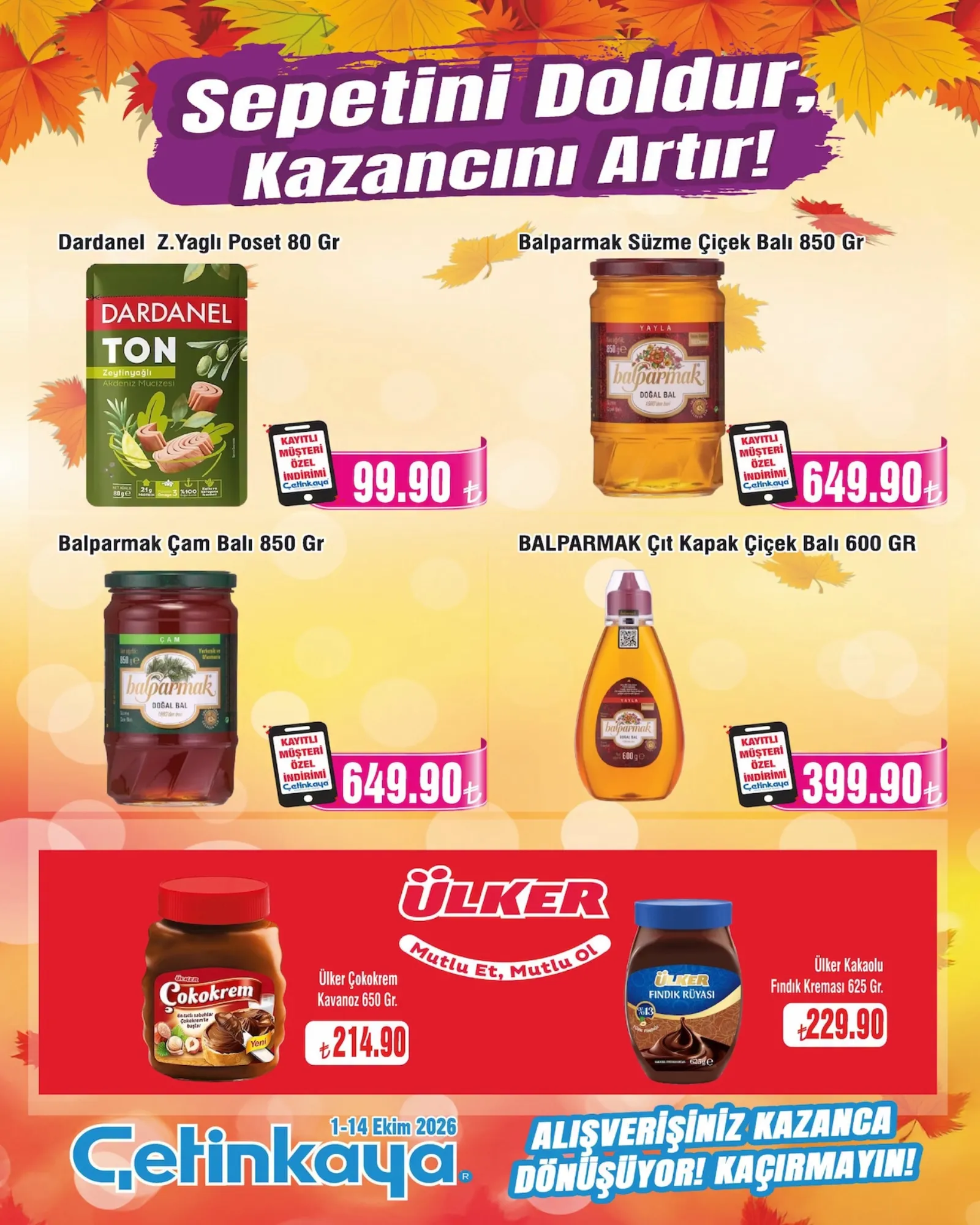 Çetinkaya broşürü sayfa 6