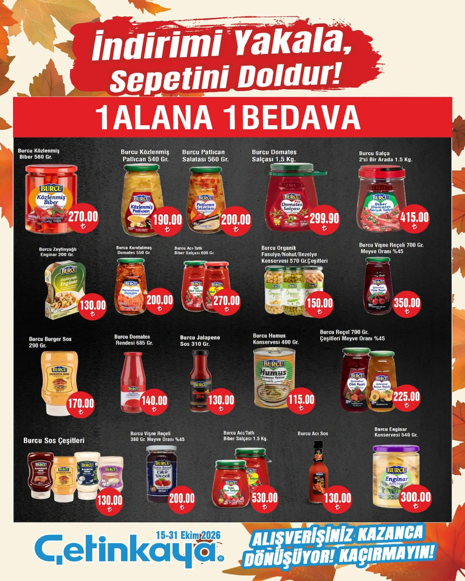 Çetinkaya broşürü sayfa 18