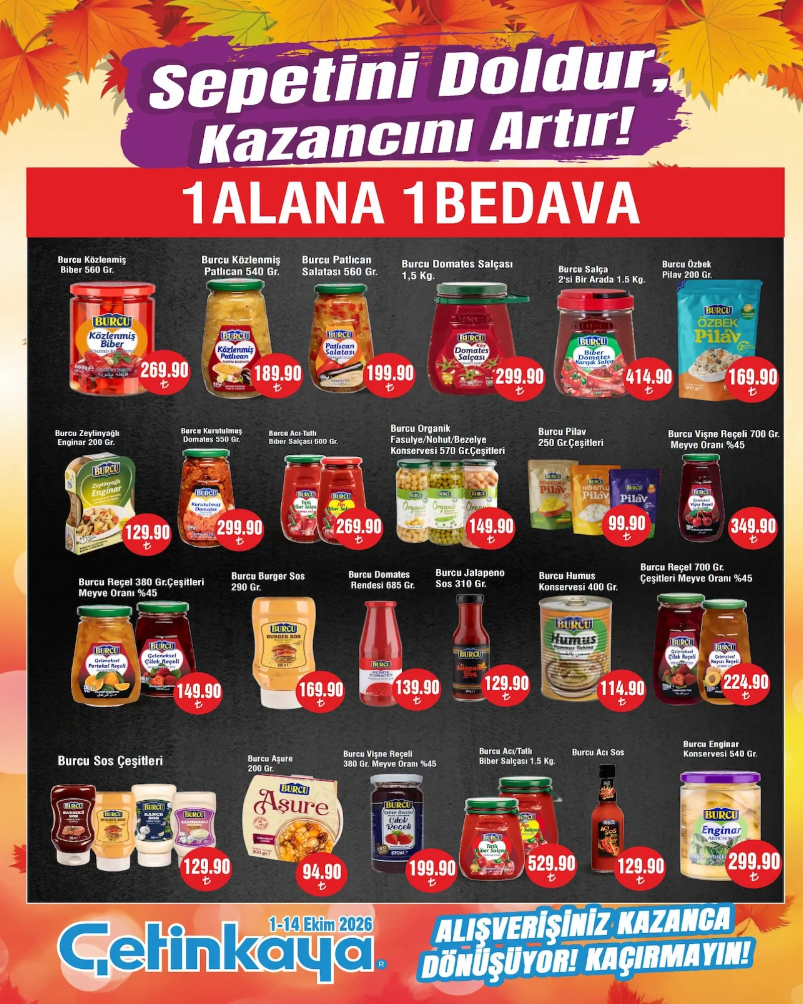 Çetinkaya broşürü sayfa 17