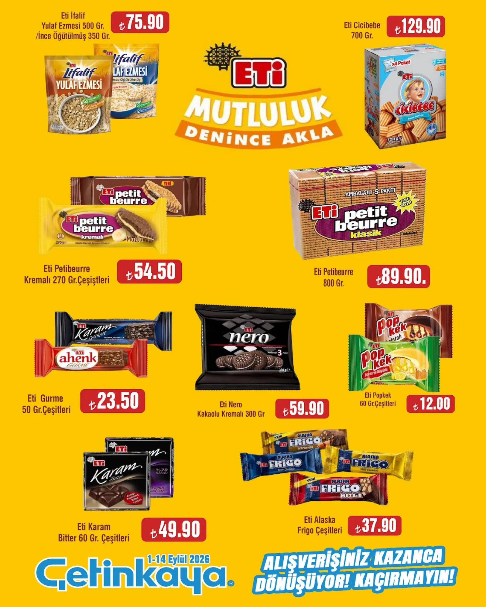 Çetinkaya broşürü sayfa 16