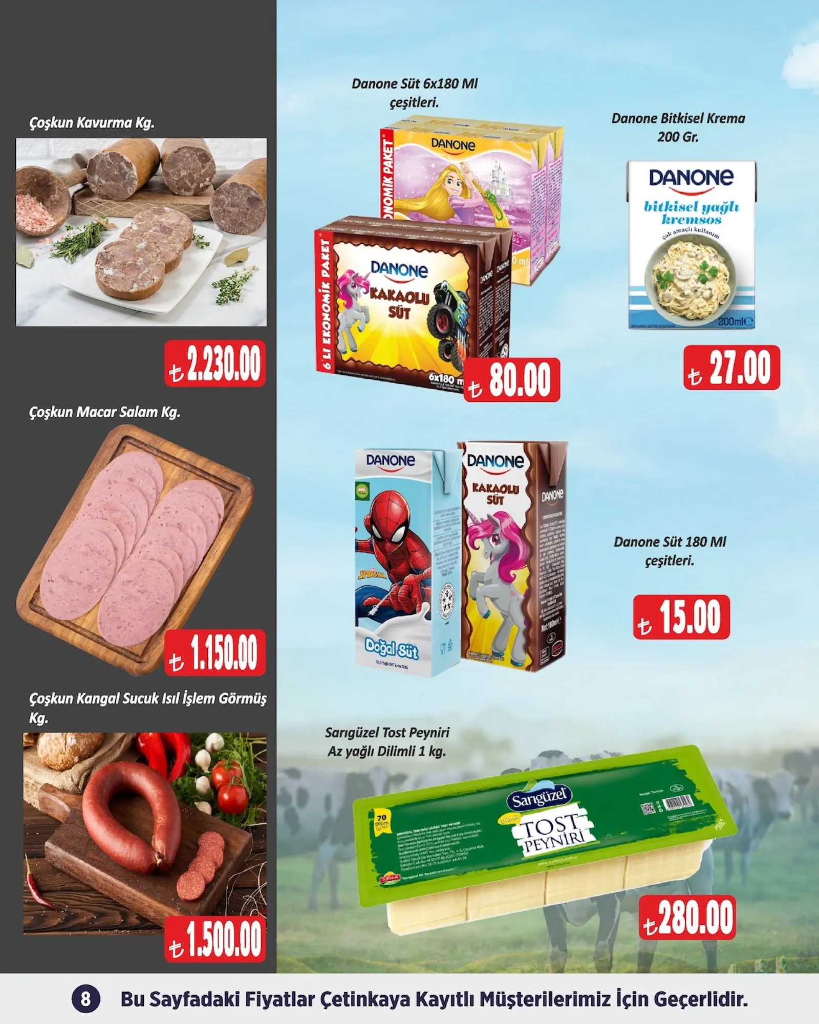 Çetinkaya broşürü sayfa 8