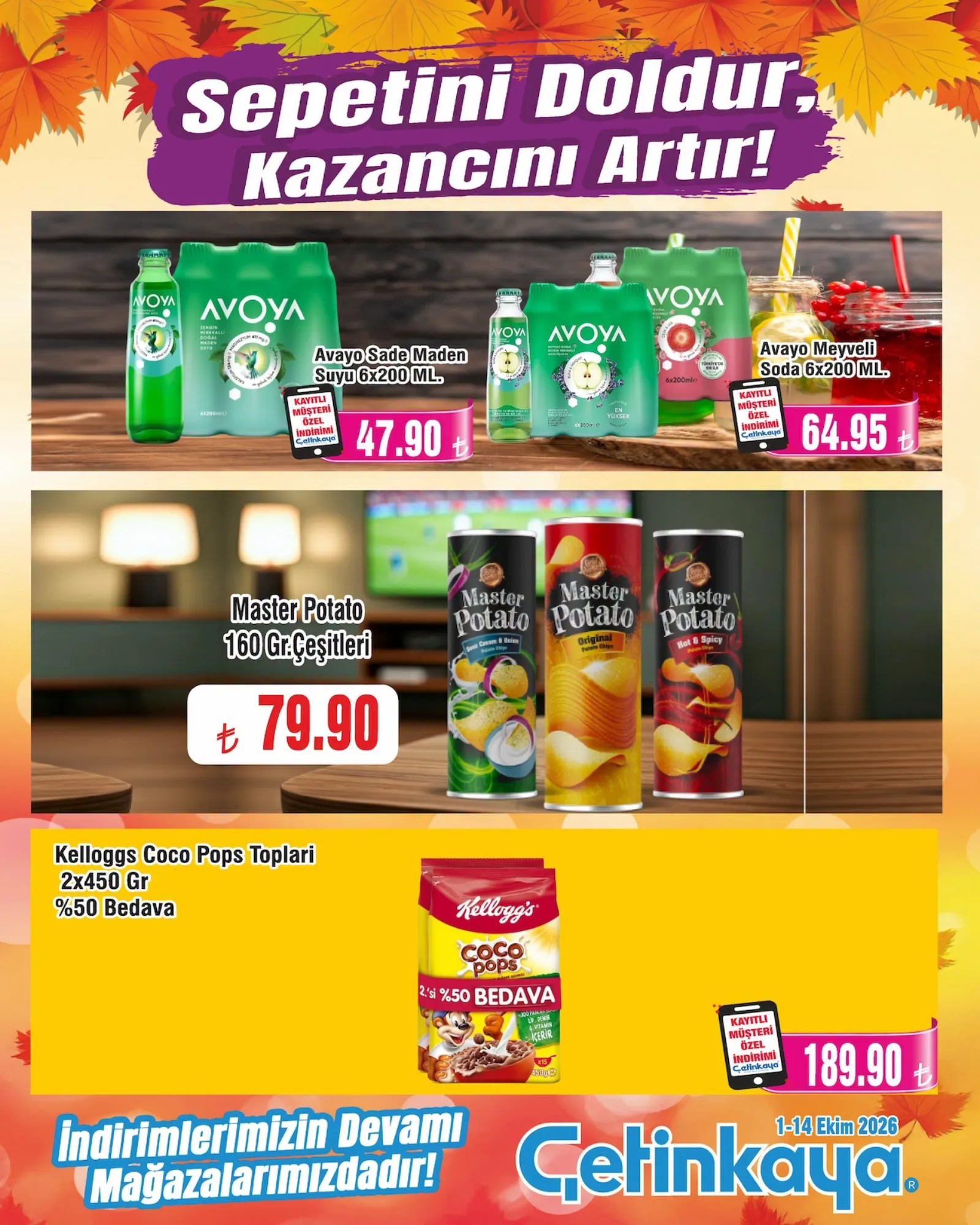 Çetinkaya broşürü sayfa 14