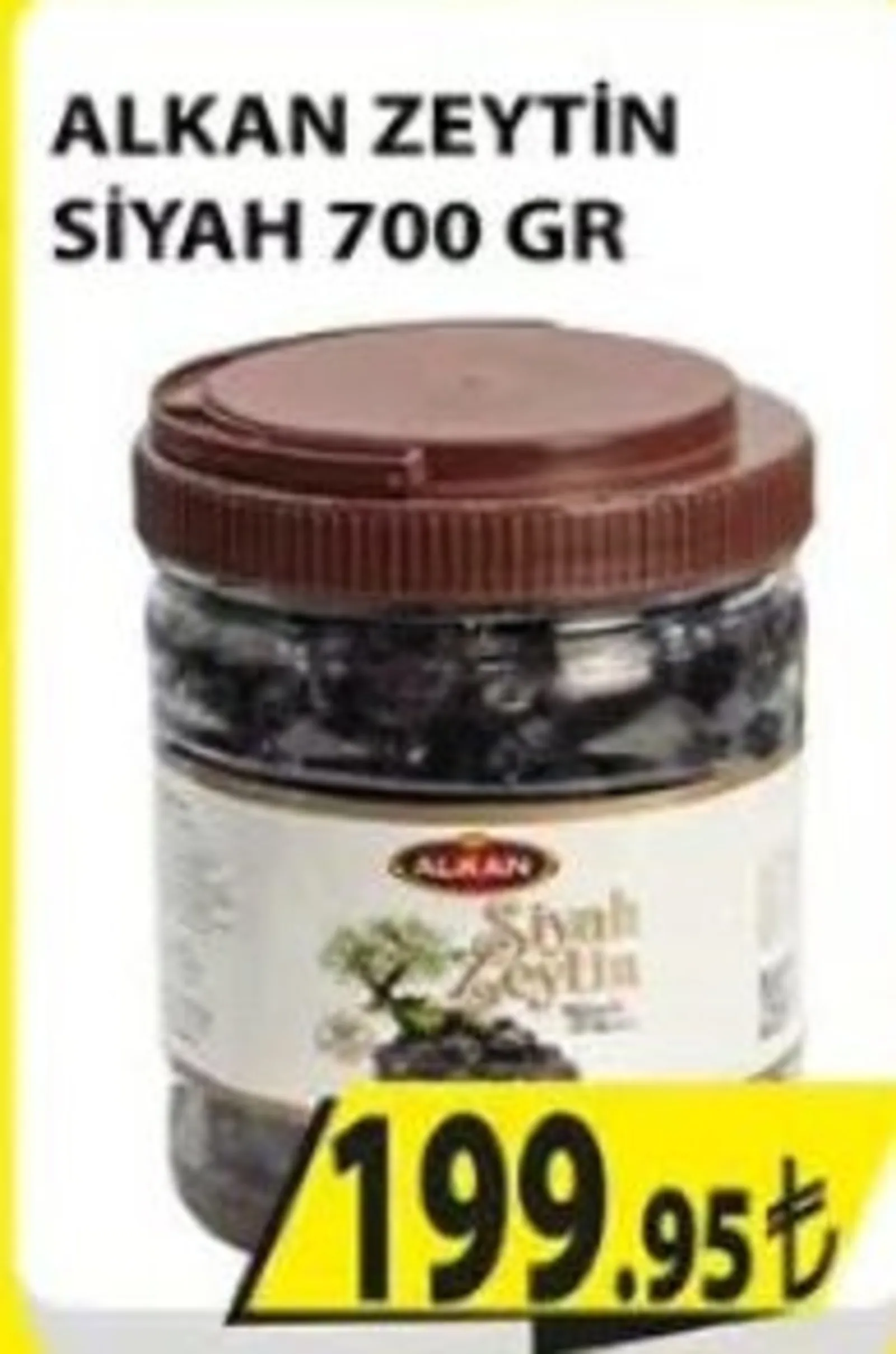 Engross broşürü sayfa 21