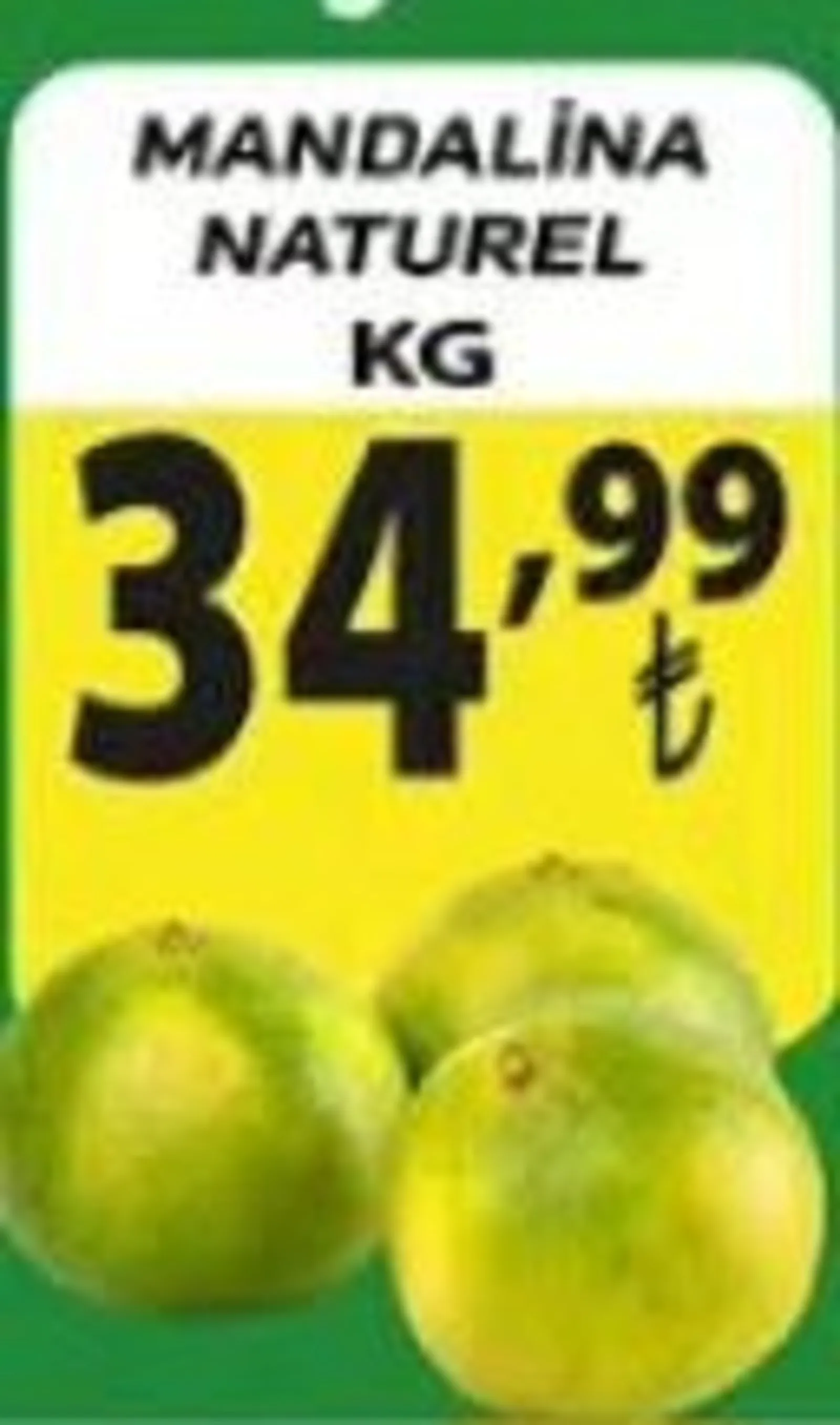 Engross broşürü sayfa 5