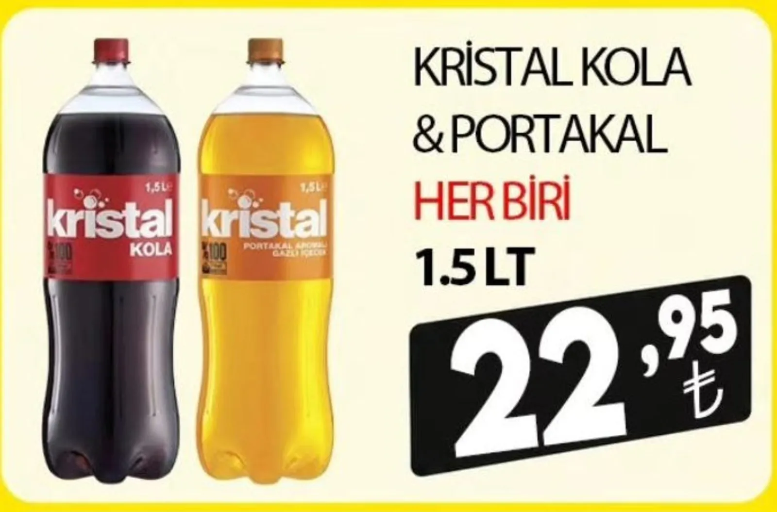 Engross broşürü sayfa 12