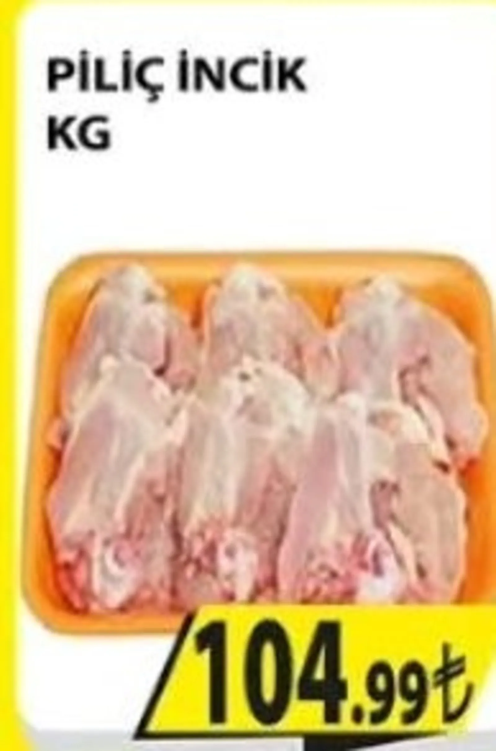Engross broşürü sayfa 15