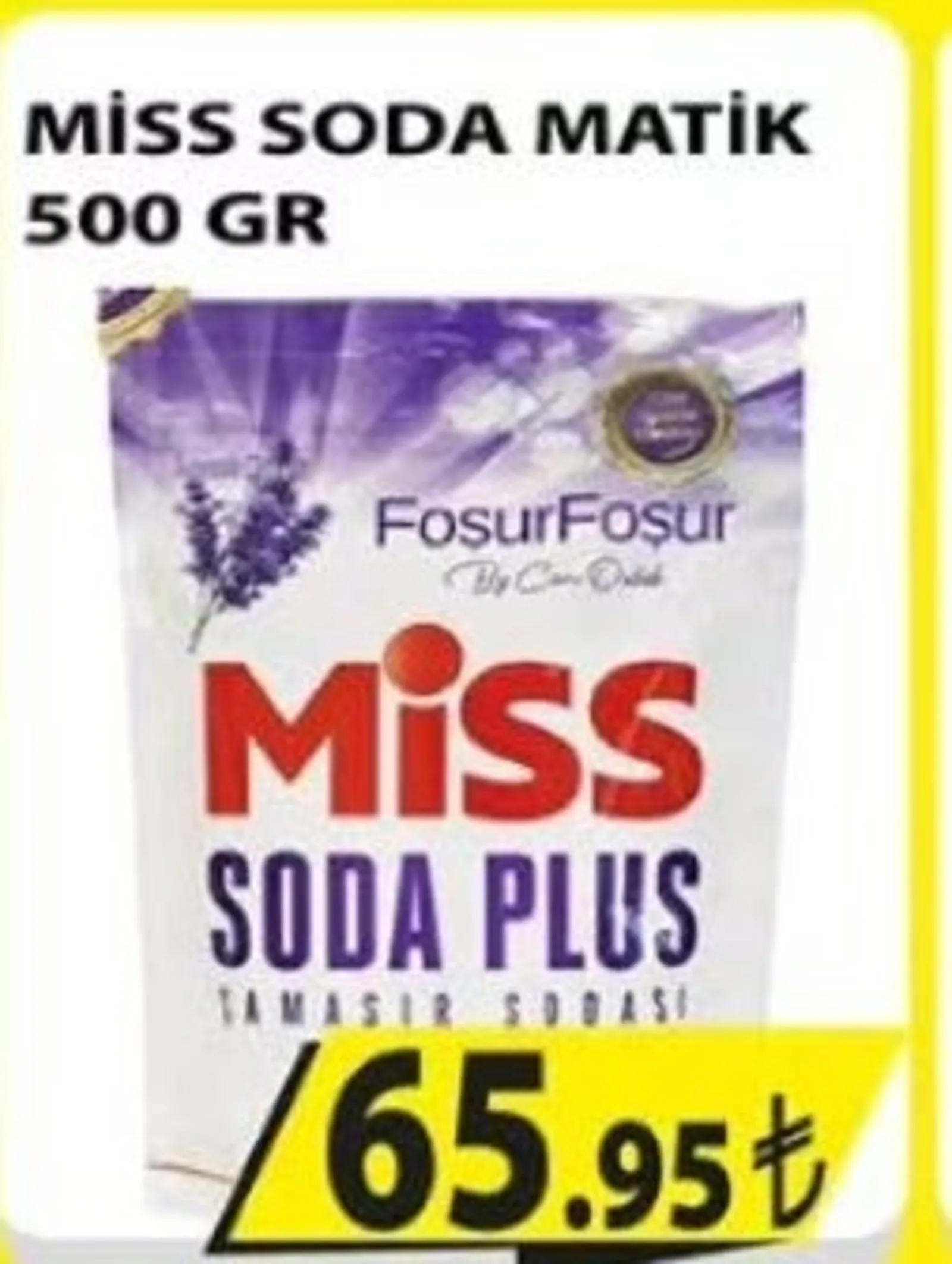 Engross broşürü sayfa 45