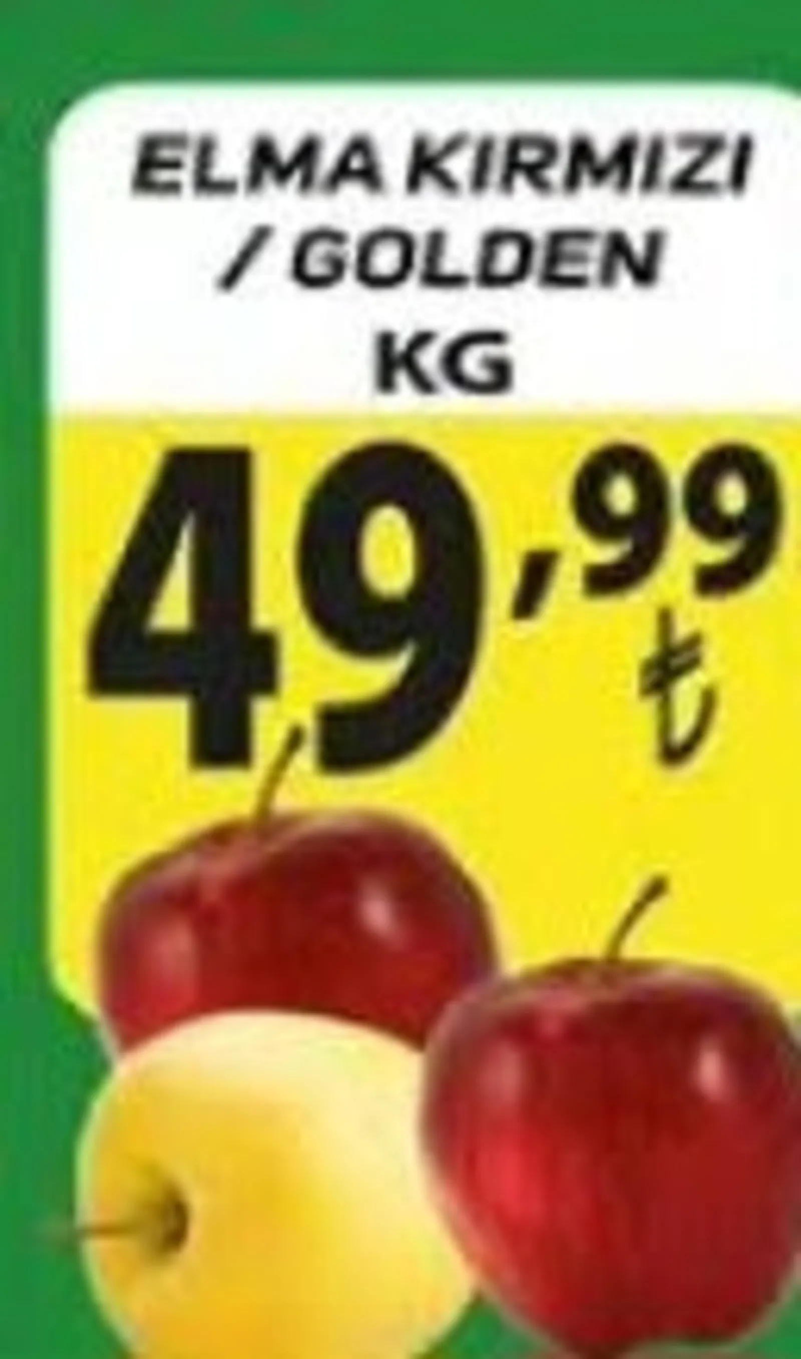 Engross broşürü sayfa 6