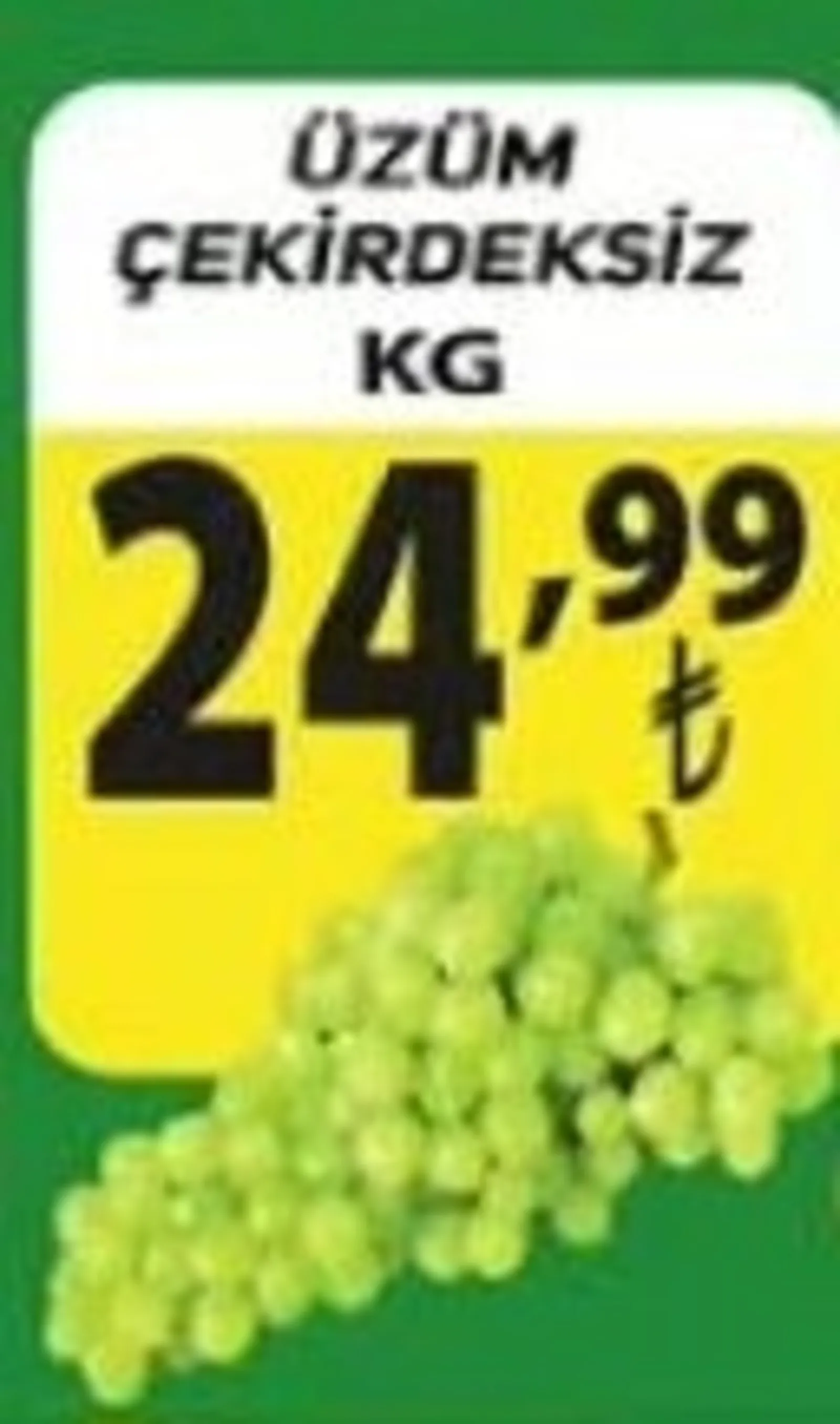 Engross broşürü sayfa 4