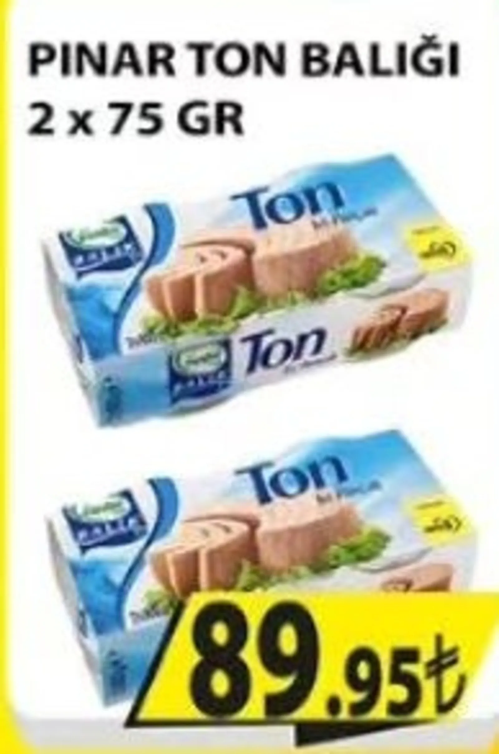 Engross broşürü sayfa 12