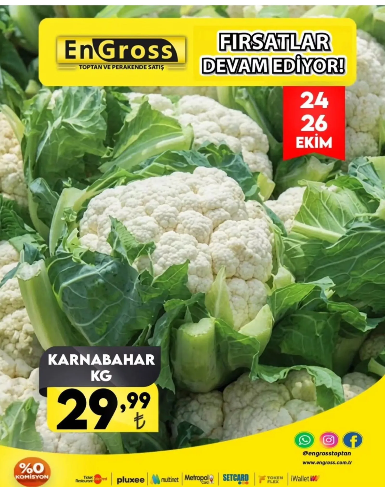 Engross broşürü sayfa 9