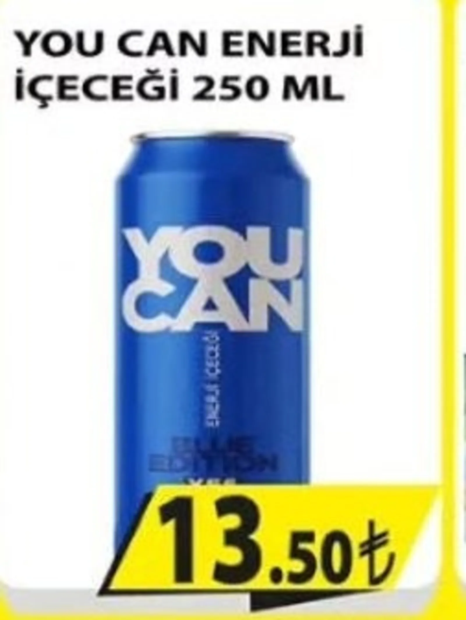 Engross broşürü sayfa 31