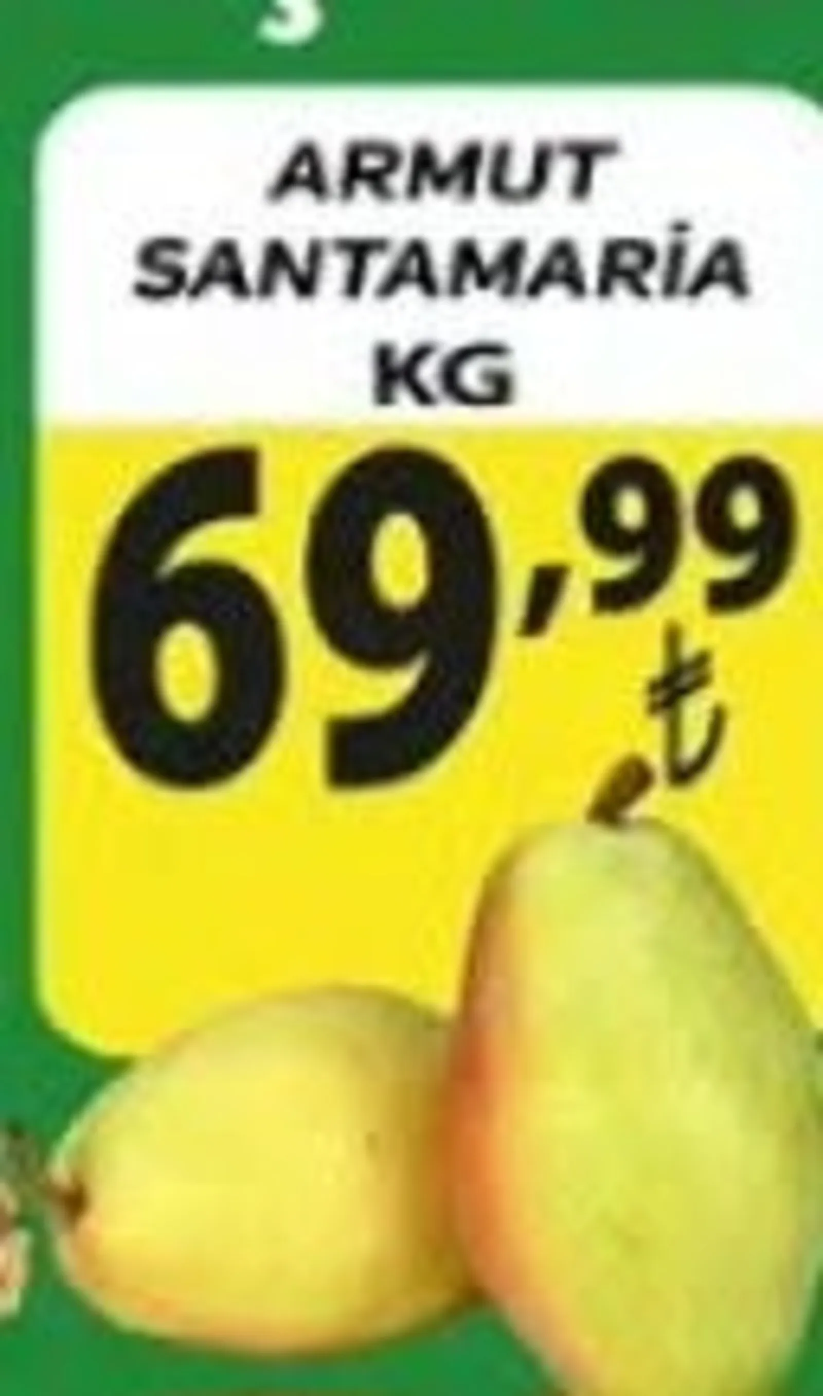 Engross broşürü sayfa 10