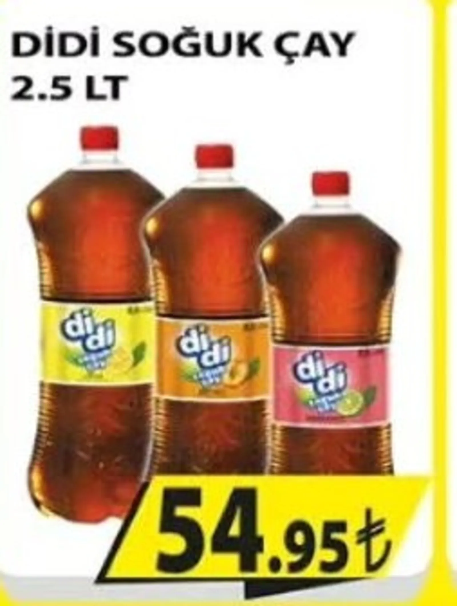 Engross broşürü sayfa 38