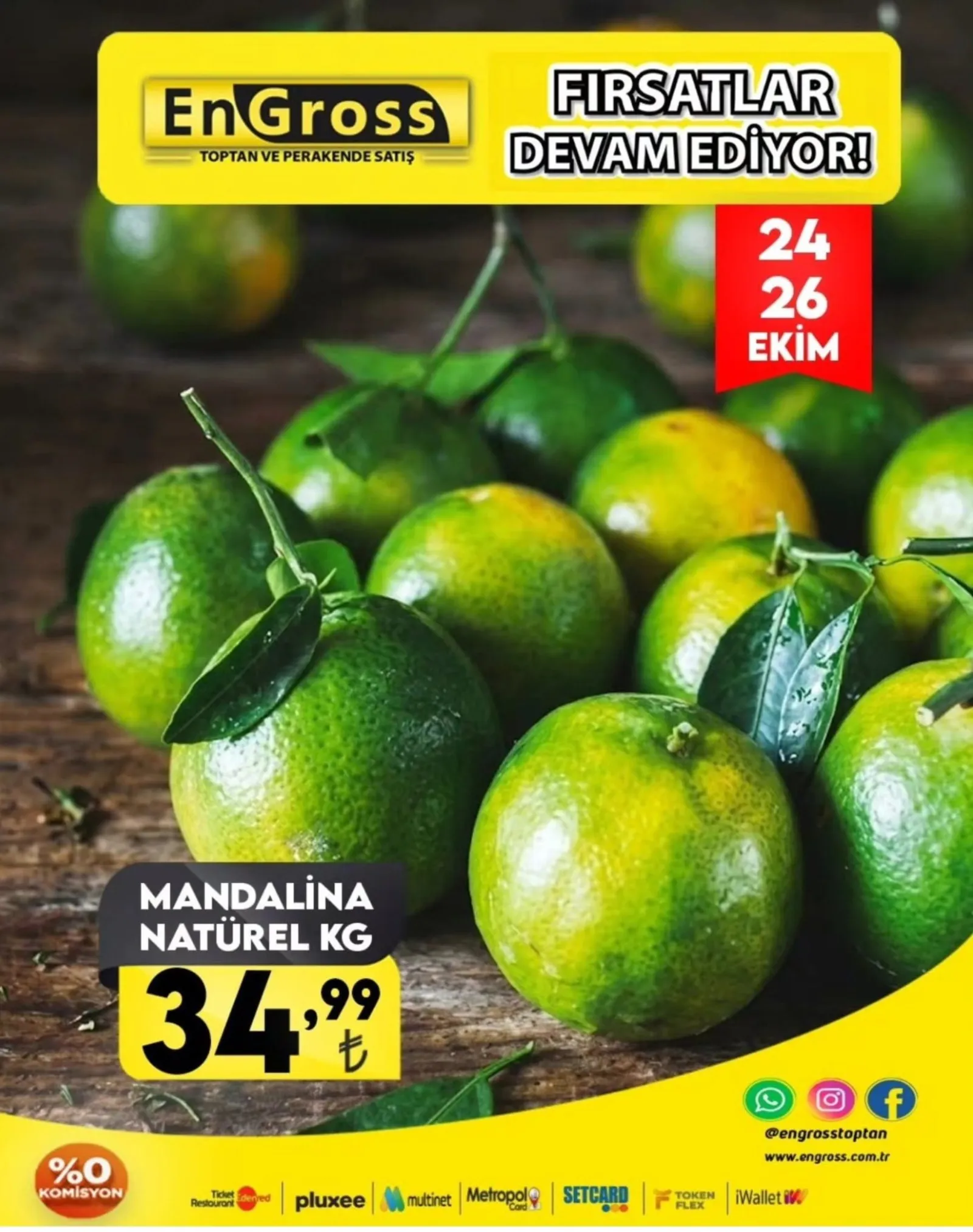 Engross broşürü sayfa 10