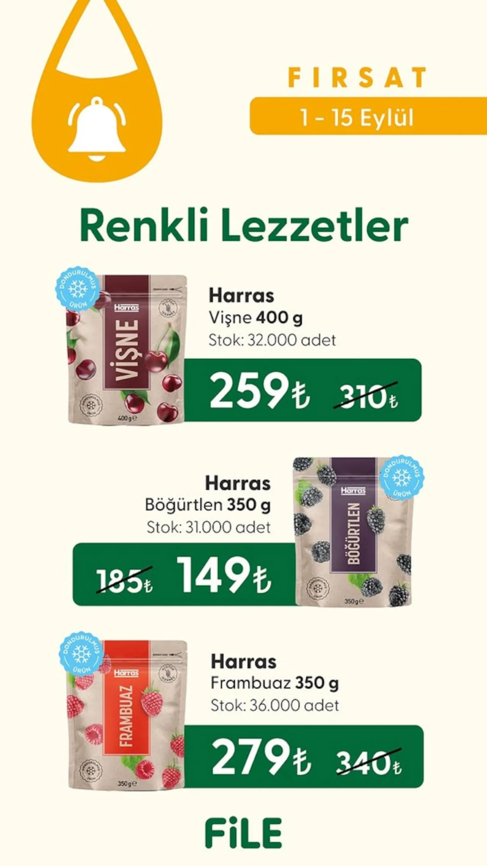 File Market broşürü sayfa 5
