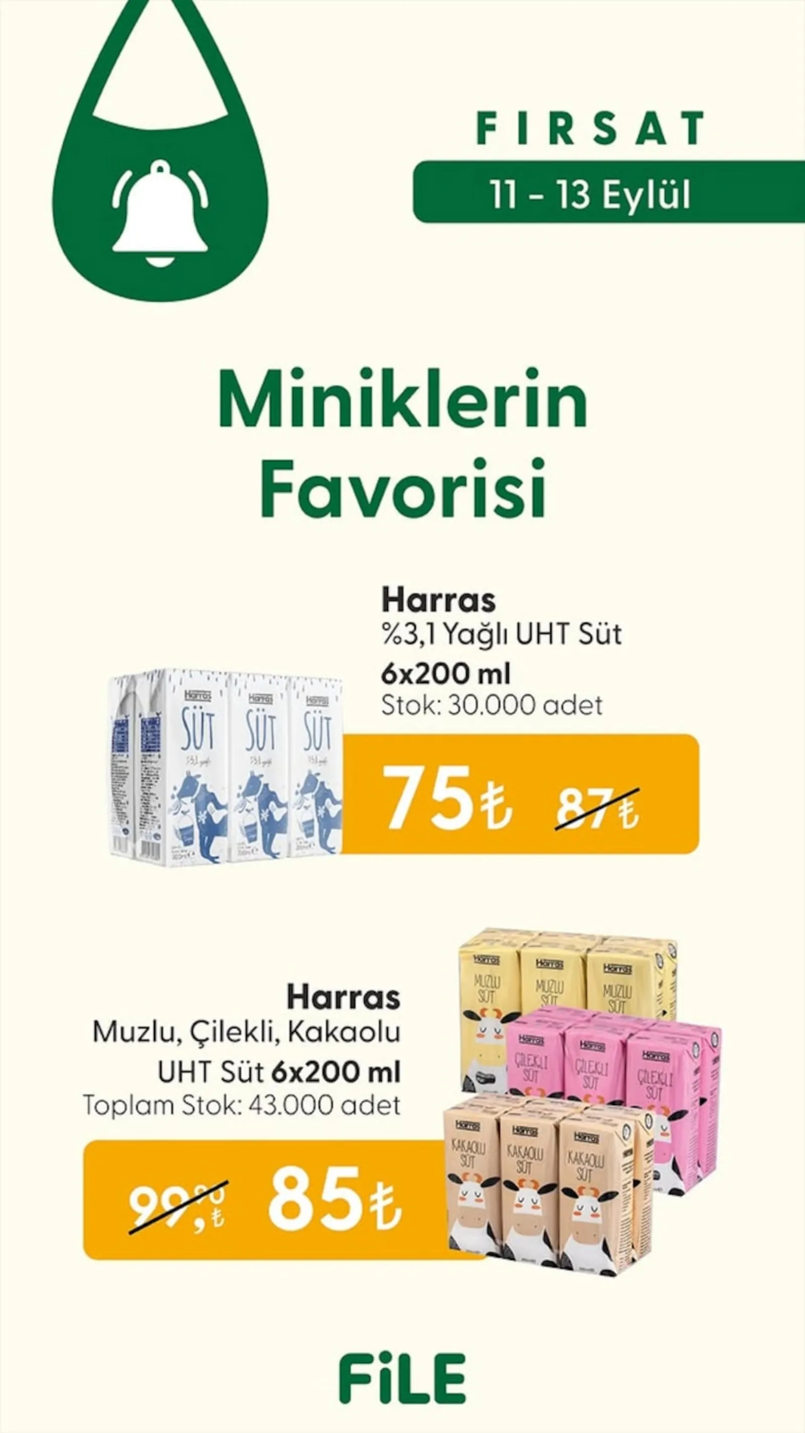 File Market broşürü sayfa 1