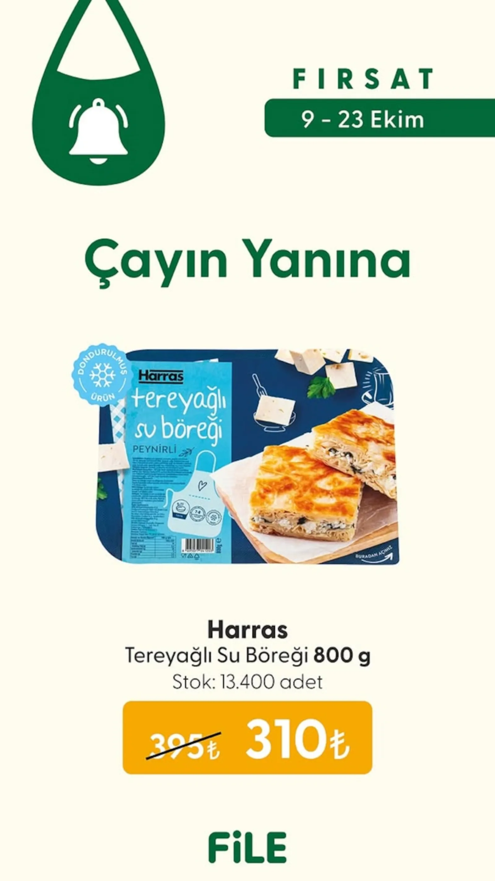 File Market broşürü sayfa 1