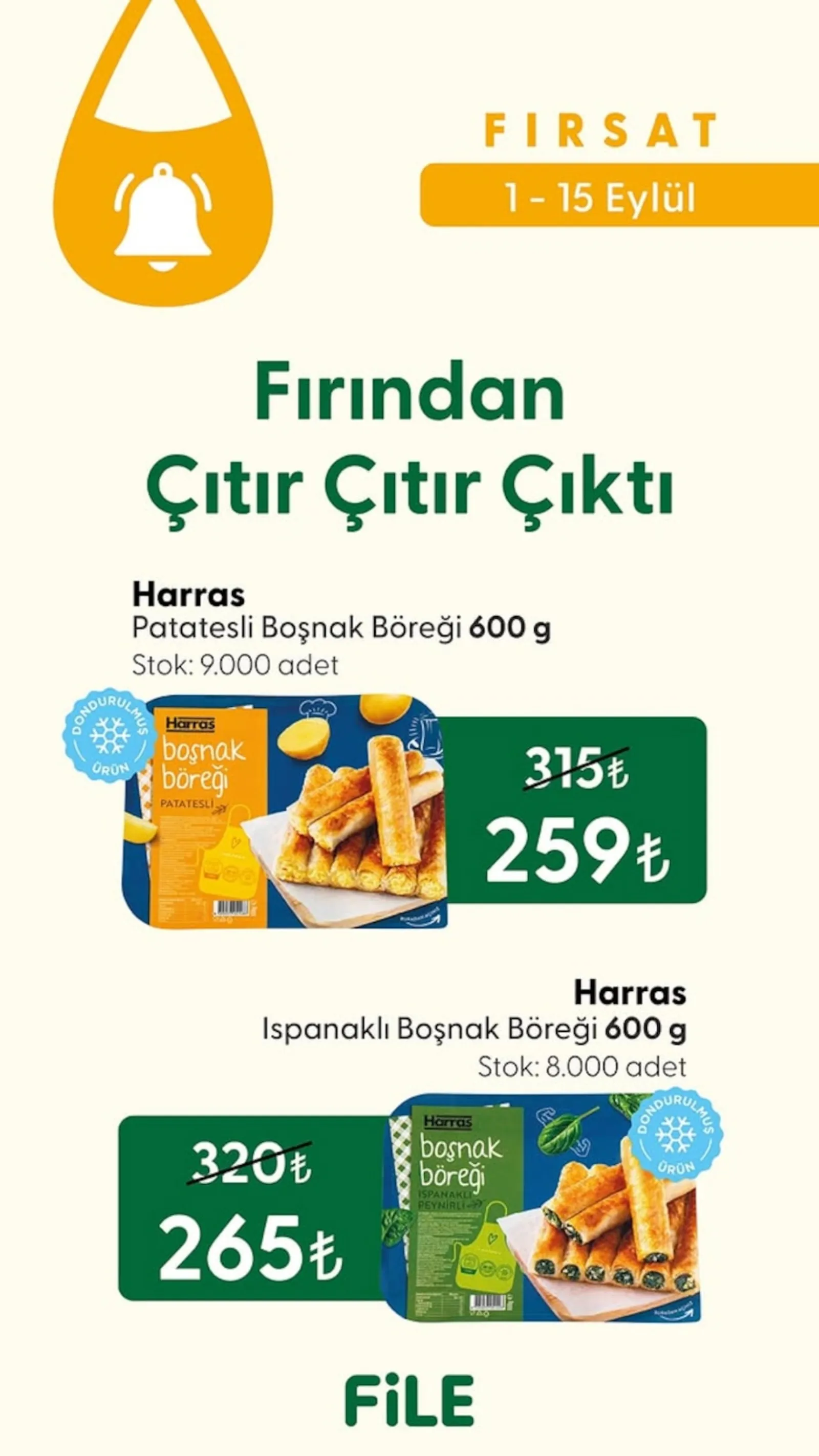 File Market broşürü sayfa 4