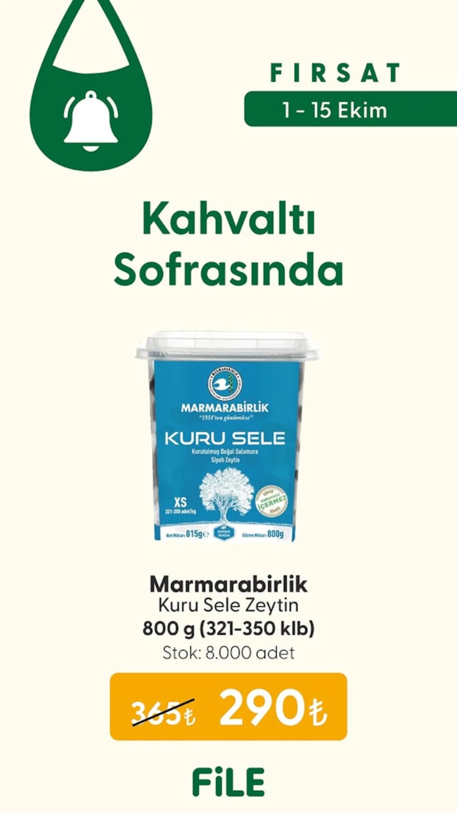 File Market broşürü sayfa 2