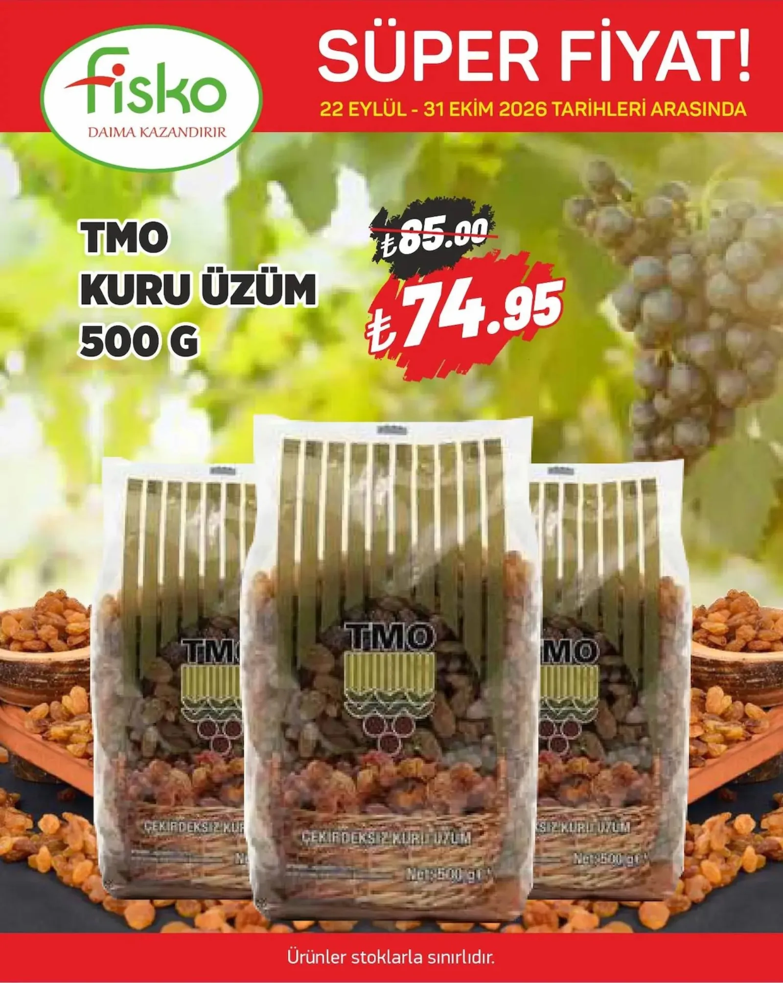 Fiskomar broşürü sayfa 1