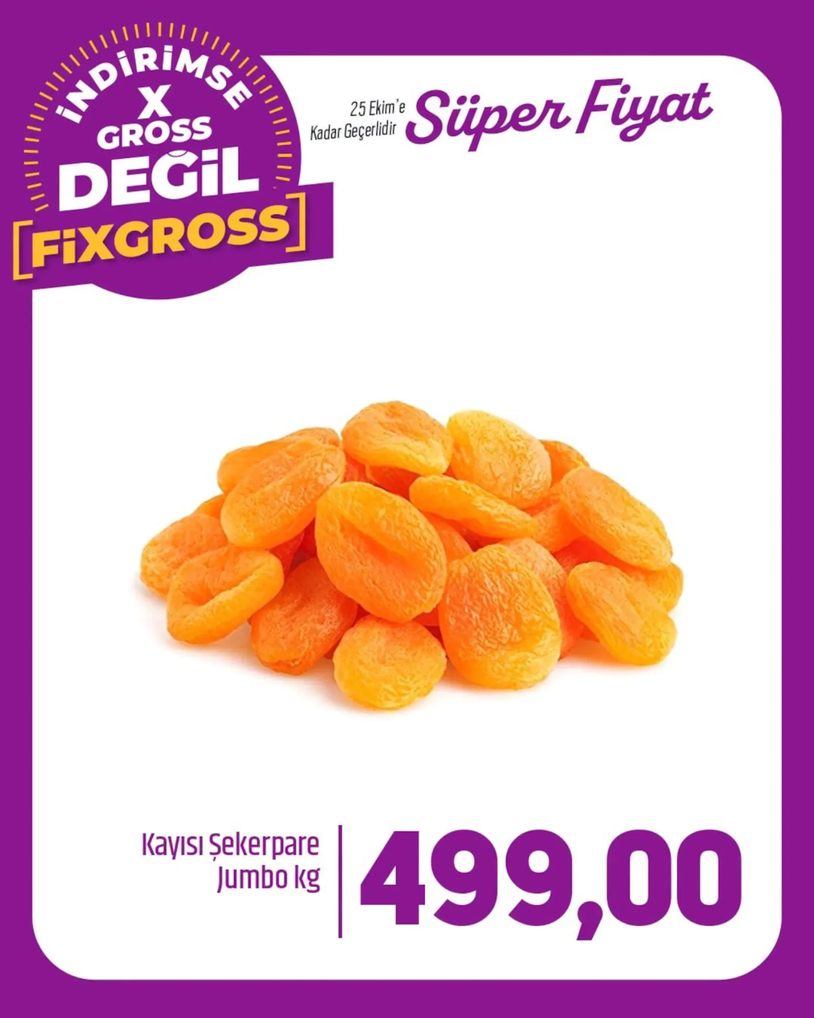 Fix Gross broşürü sayfa 4