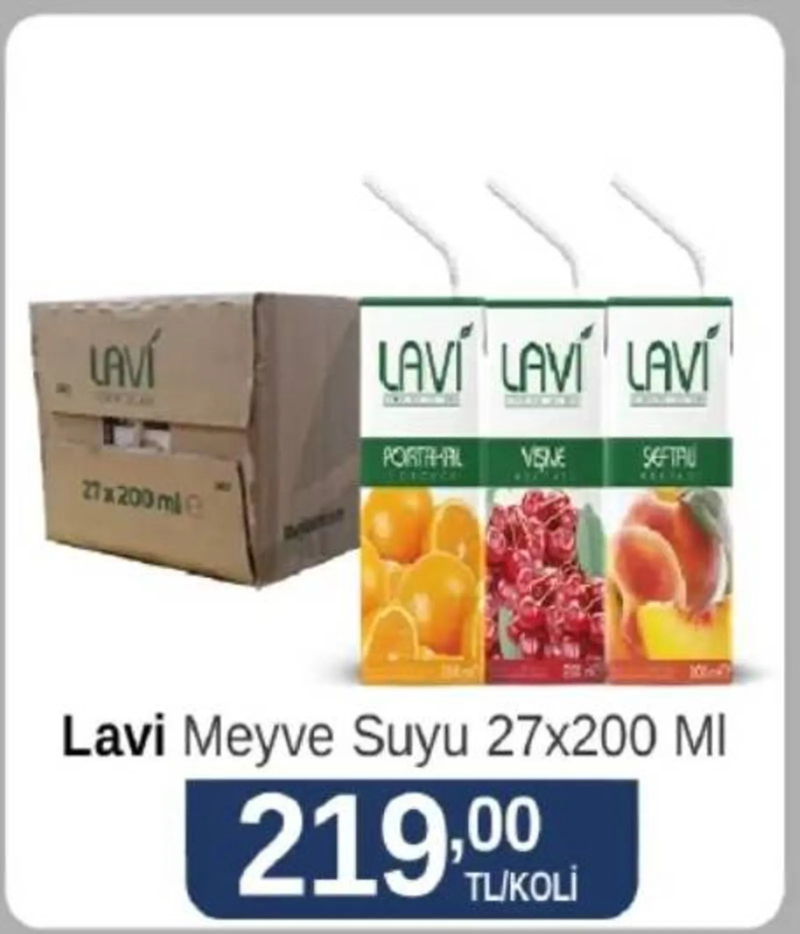 Gap Gross broşürü sayfa 47