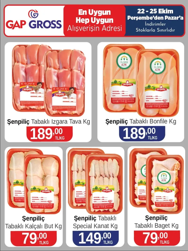 Gap Gross broşürü