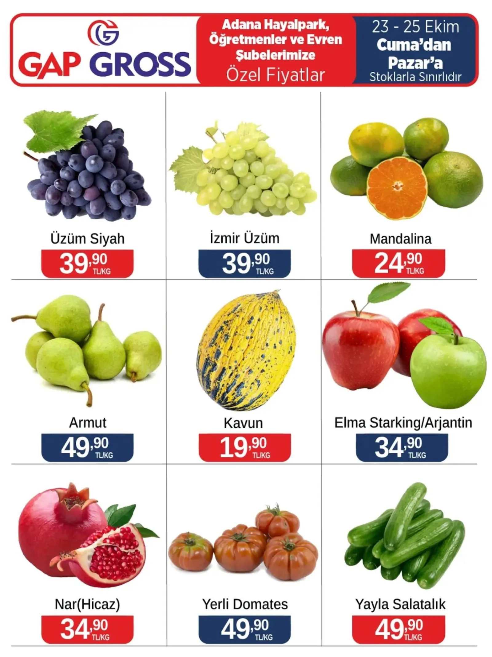 Gap Gross broşürü sayfa 1