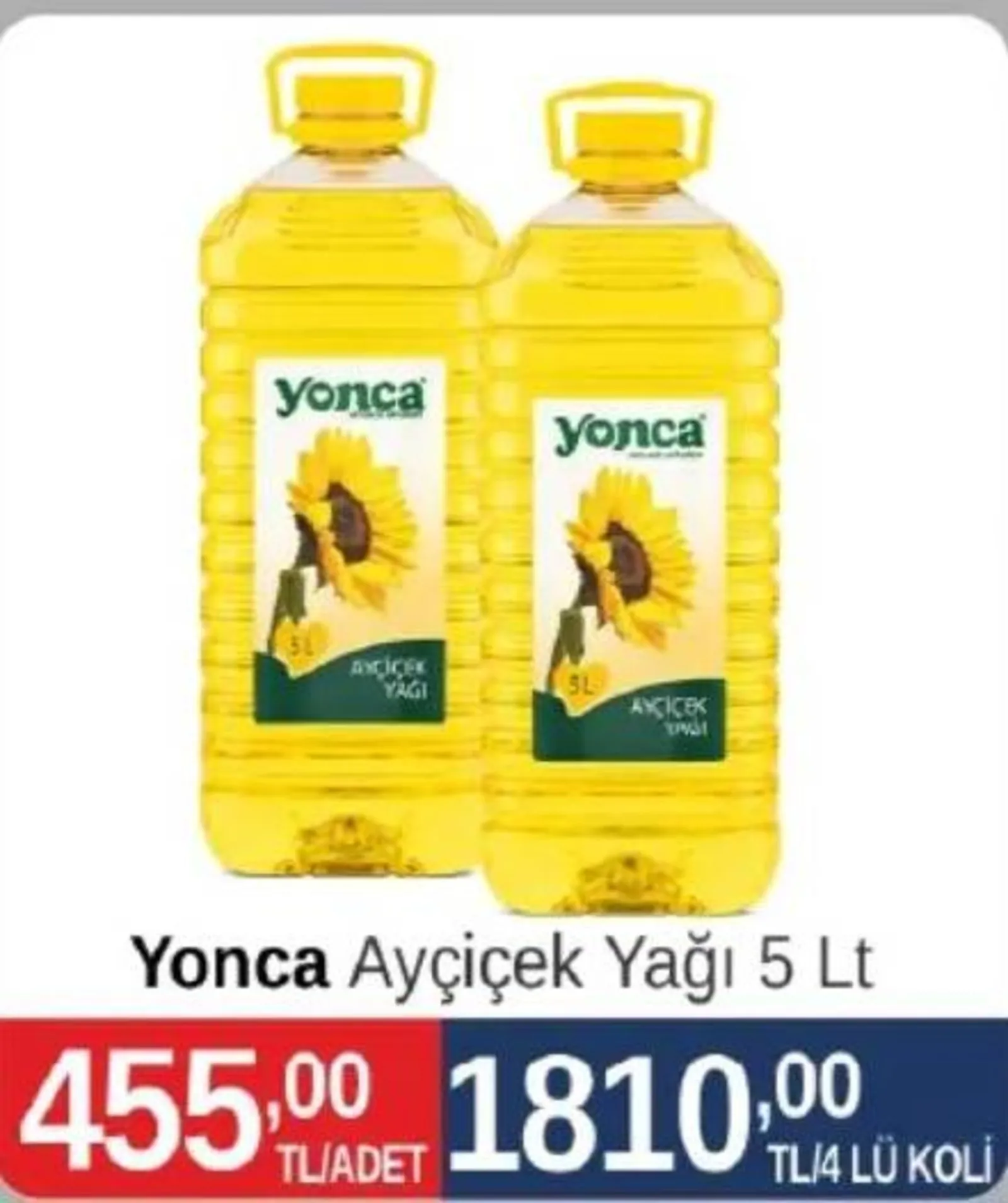 Gap Gross broşürü sayfa 55