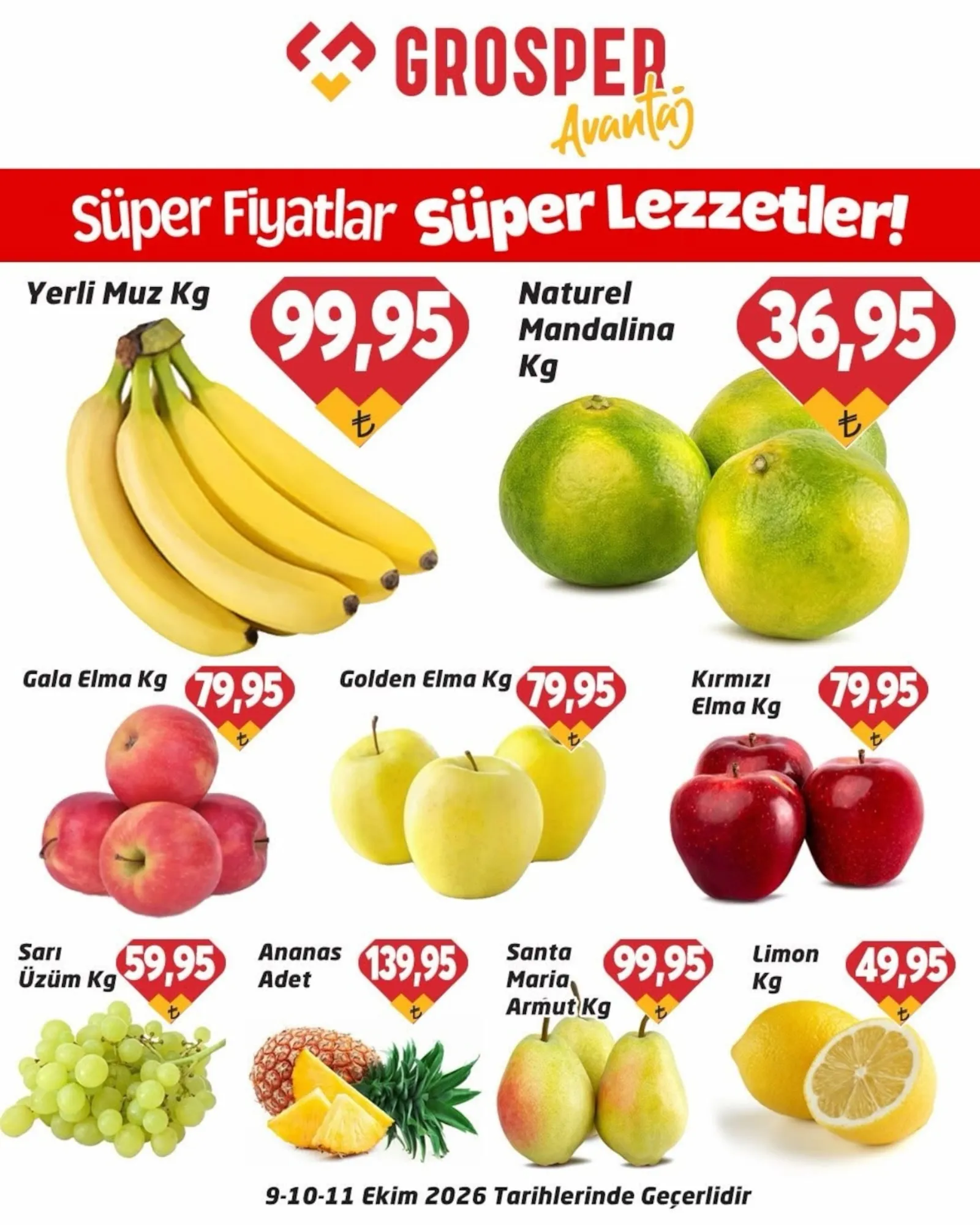 Grosper broşürü sayfa 1