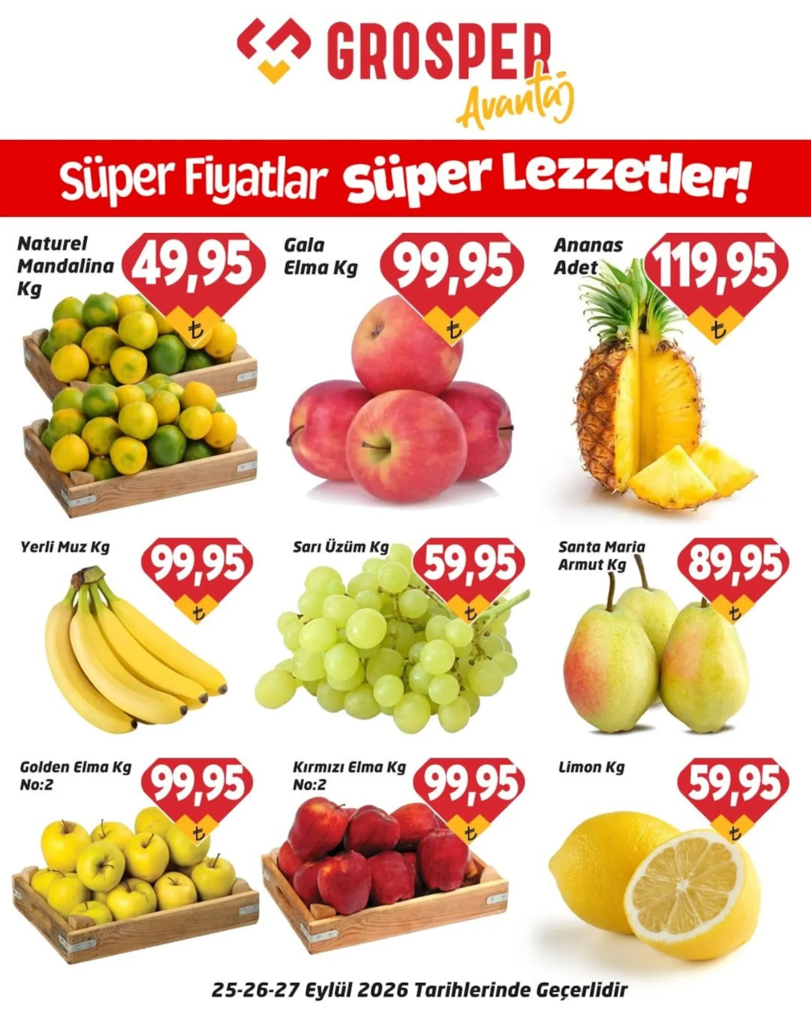 Grosper broşürü sayfa 1