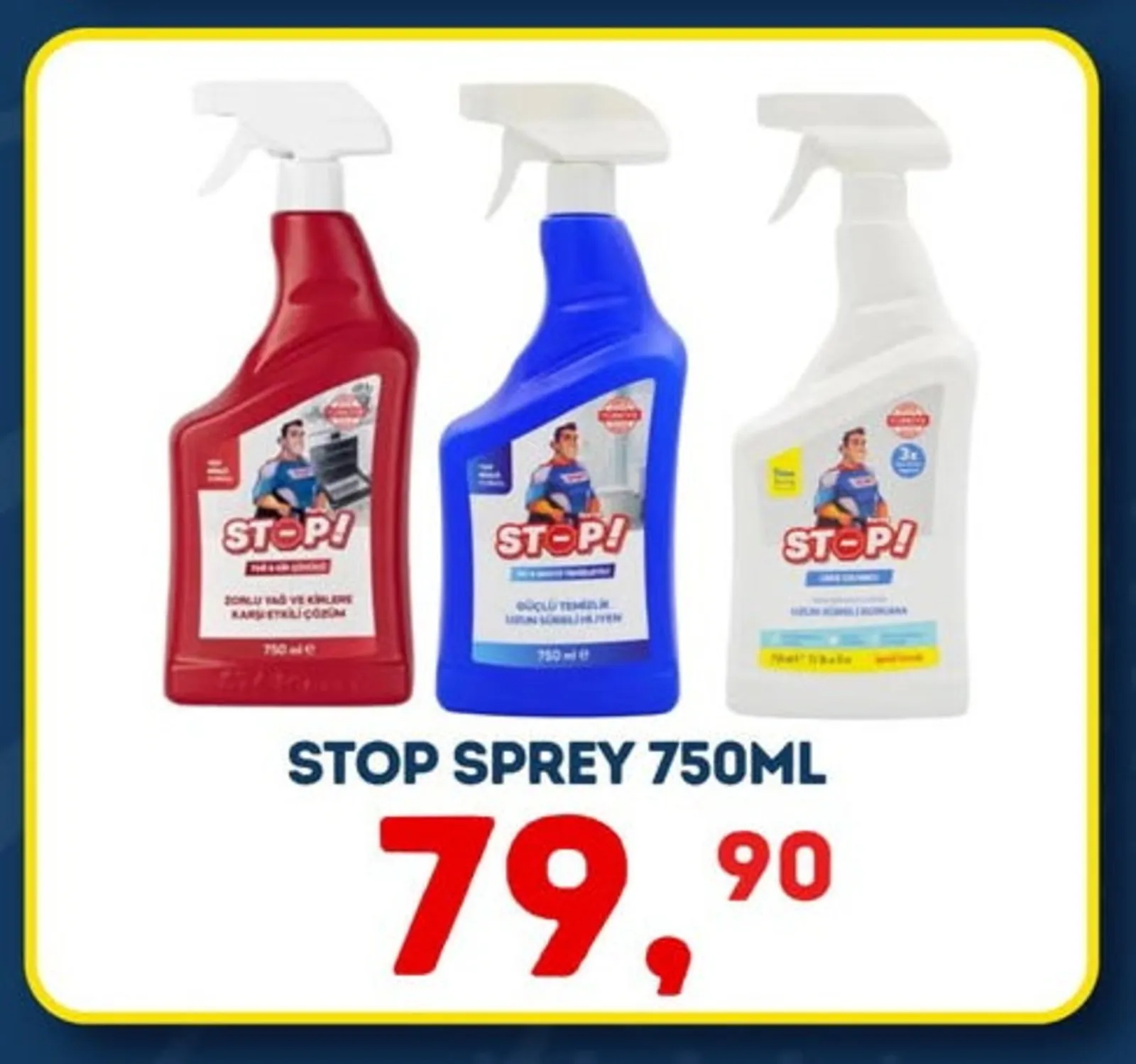 Gross Toptan & Perakende broşürü sayfa 2