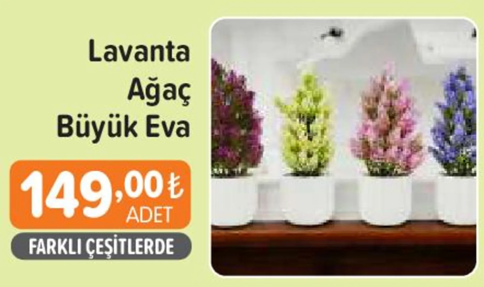 Hakmar Express broşürü sayfa 33