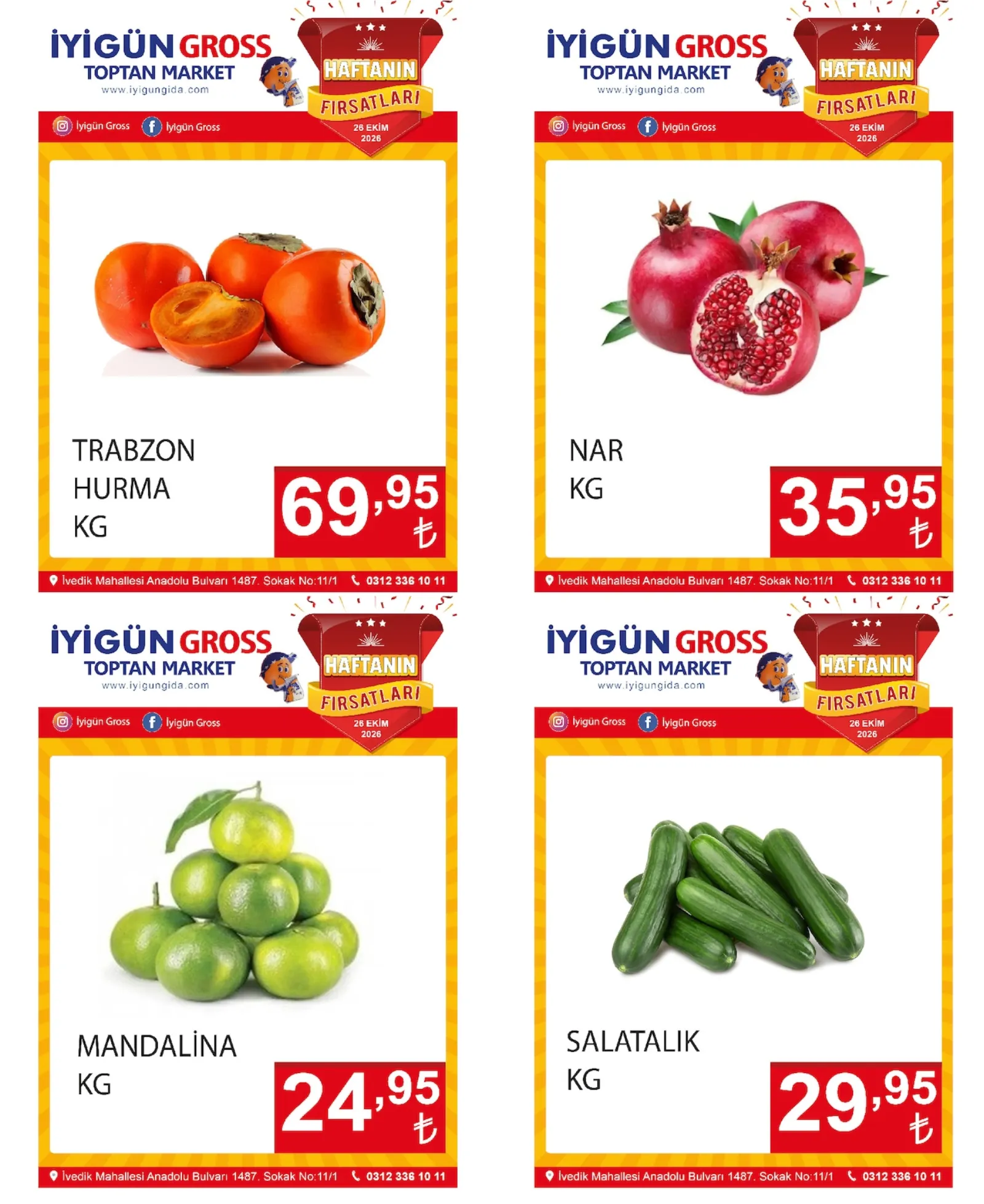 İyigün Gross broşürü sayfa 1