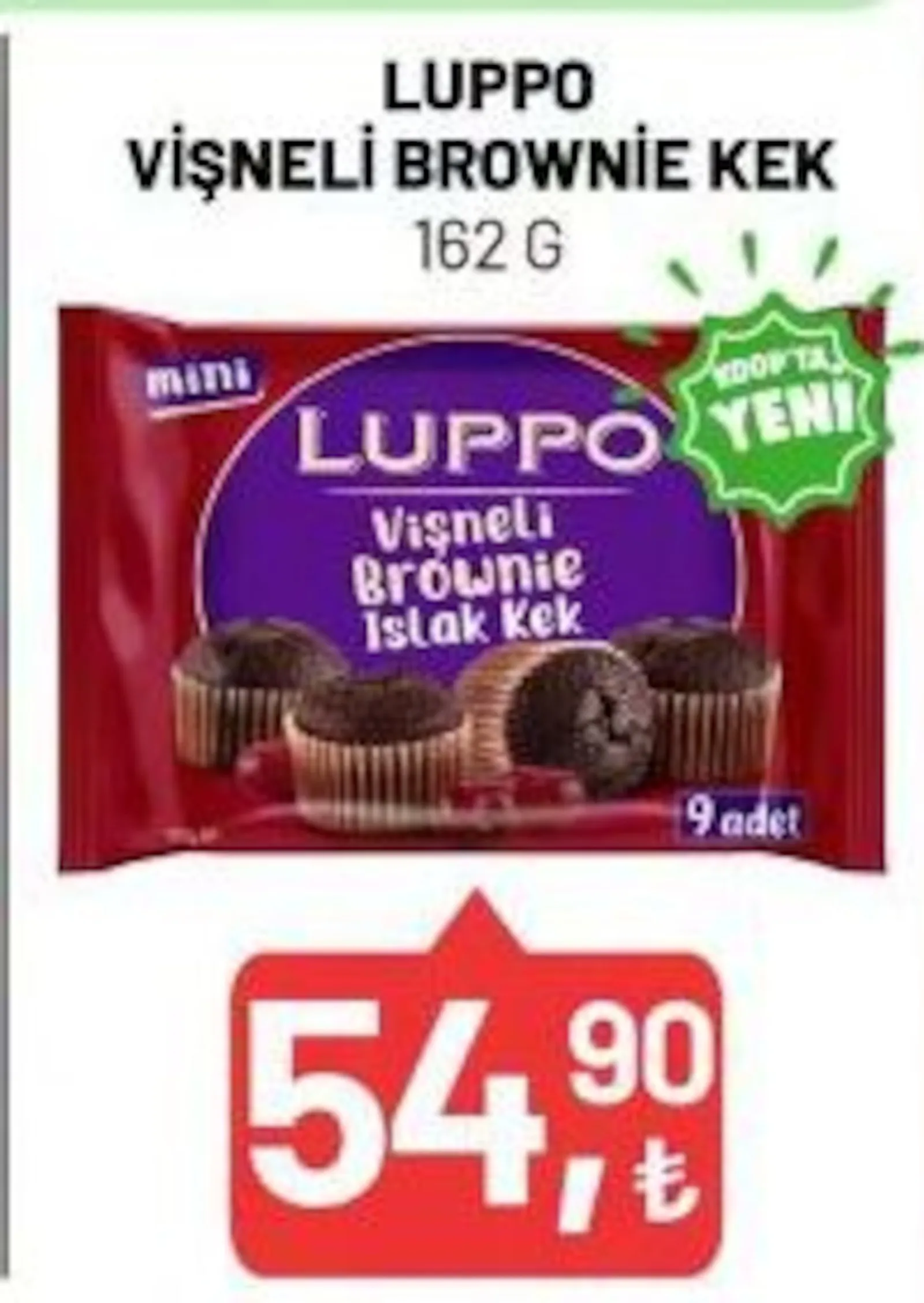 Tarım Kredi Kooperatifi broşürü sayfa 47