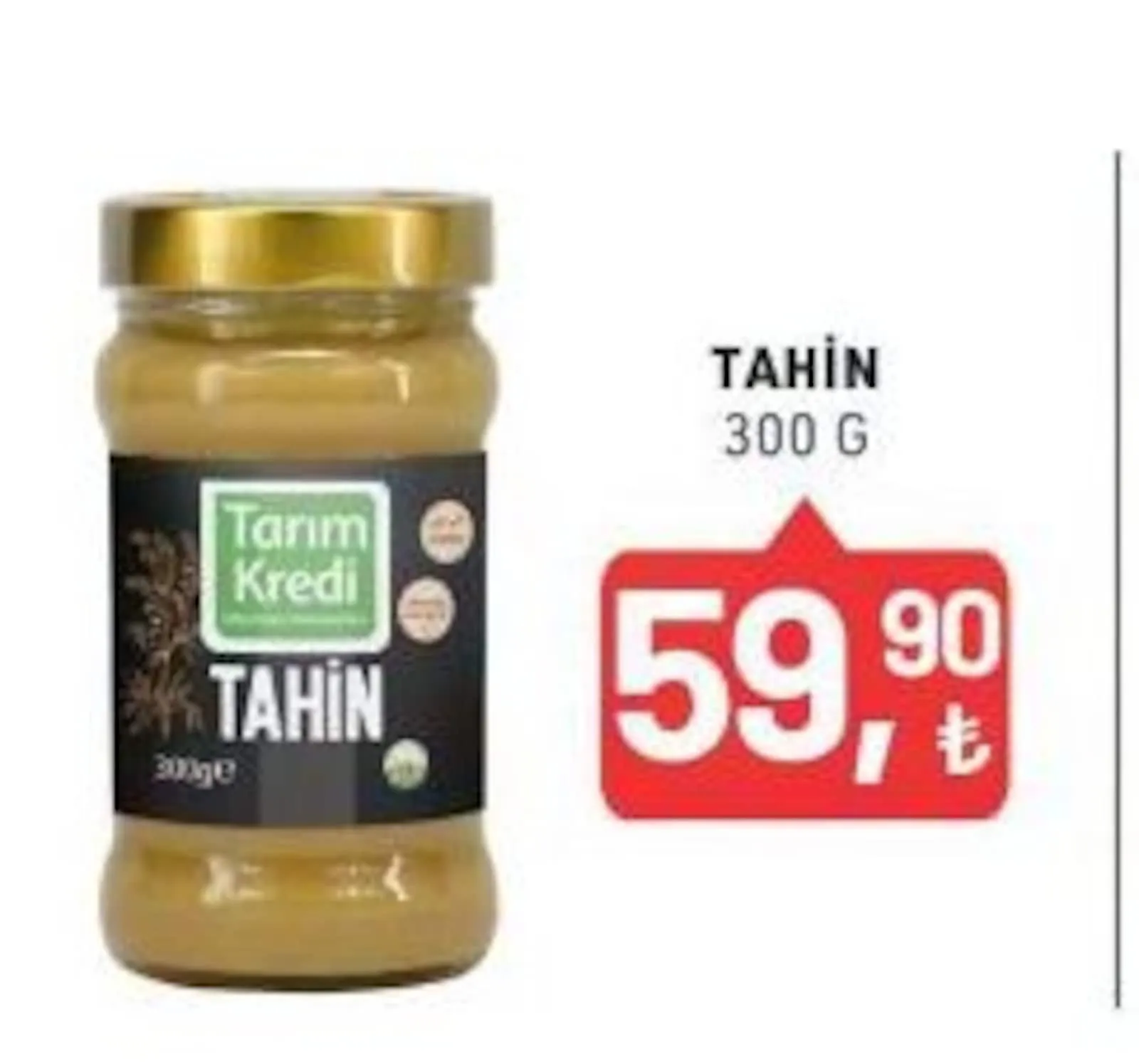 Tarım Kredi Kooperatifi broşürü sayfa 8