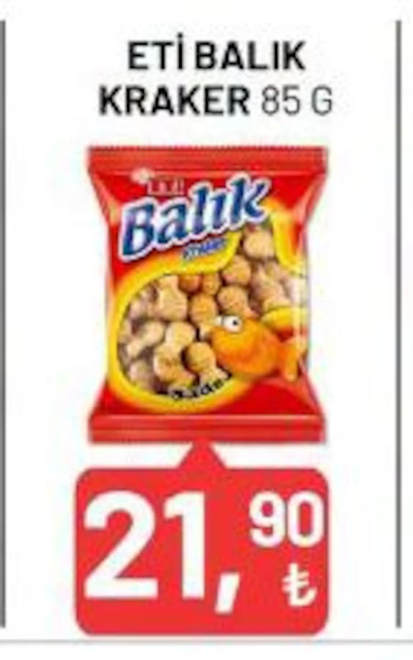 Tarım Kredi Kooperatifi broşürü sayfa 36