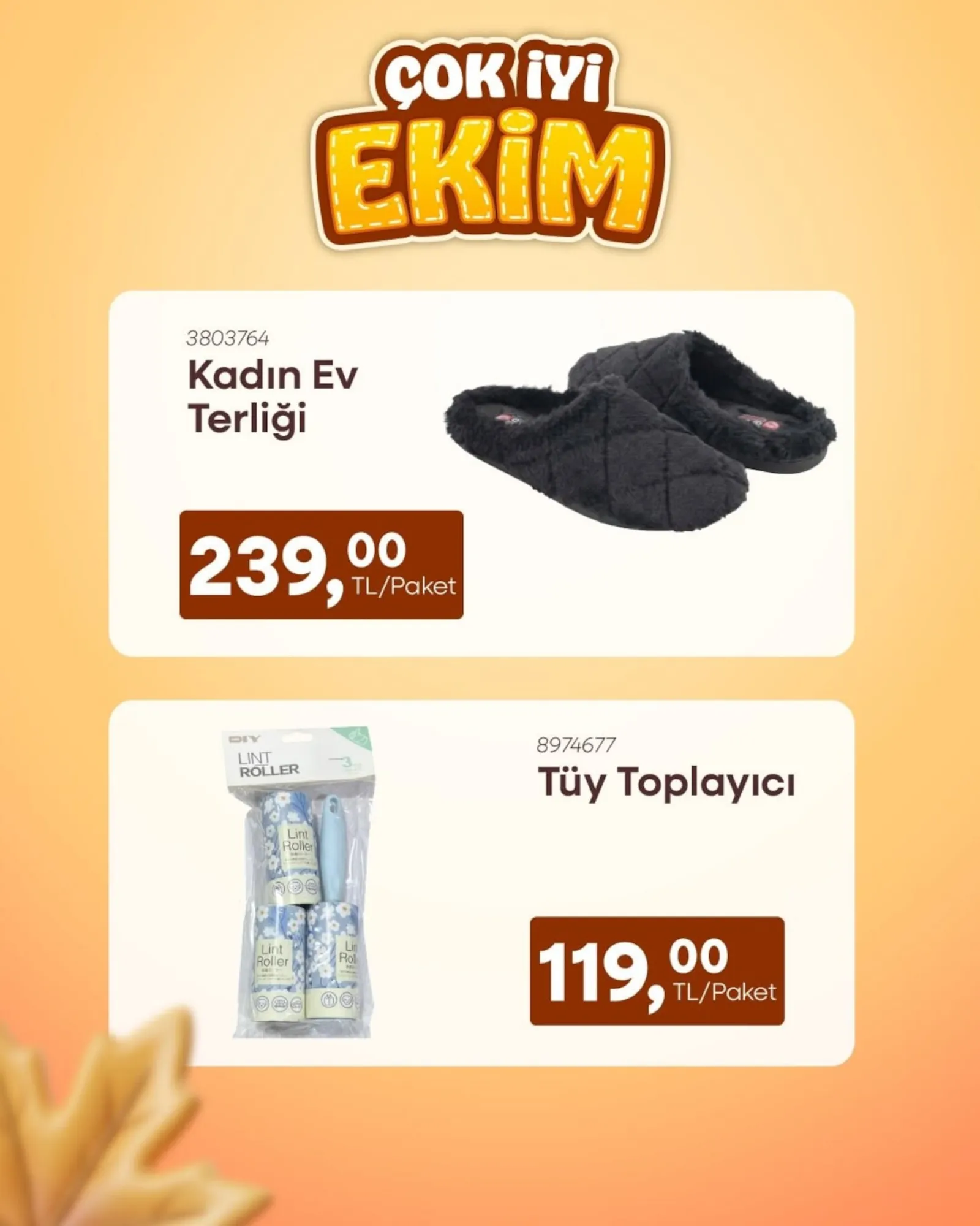 Mr.Diy broşürü sayfa 1