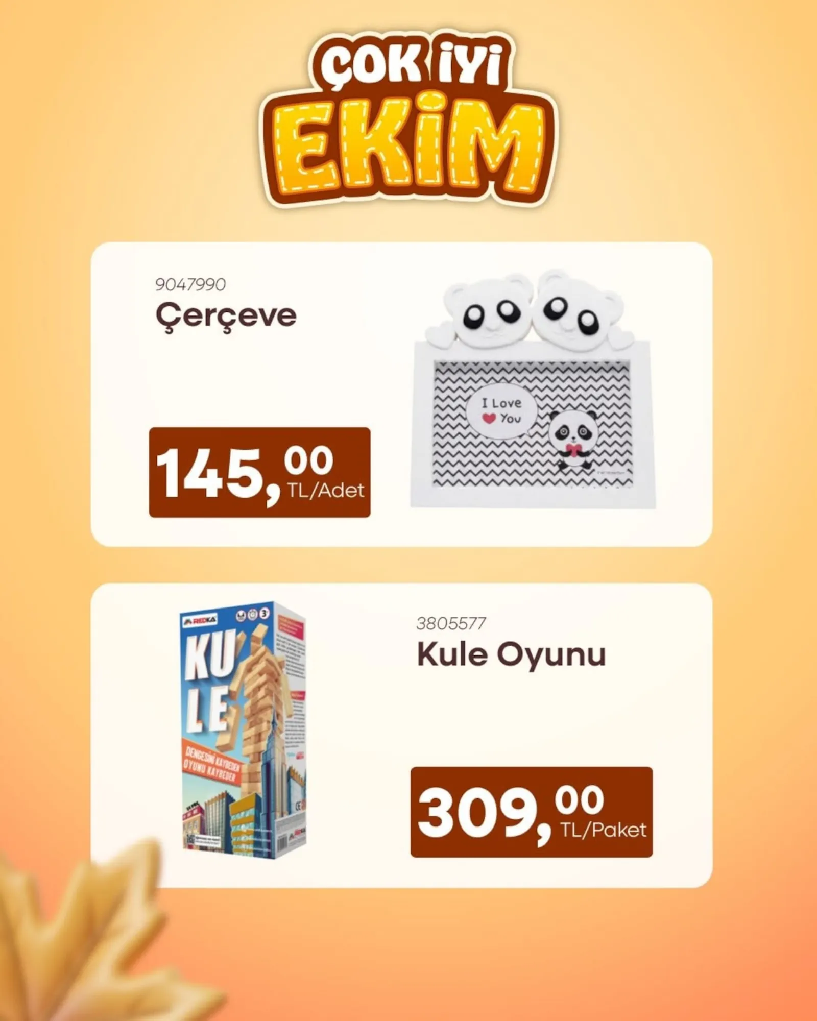 Mr.Diy broşürü sayfa 5